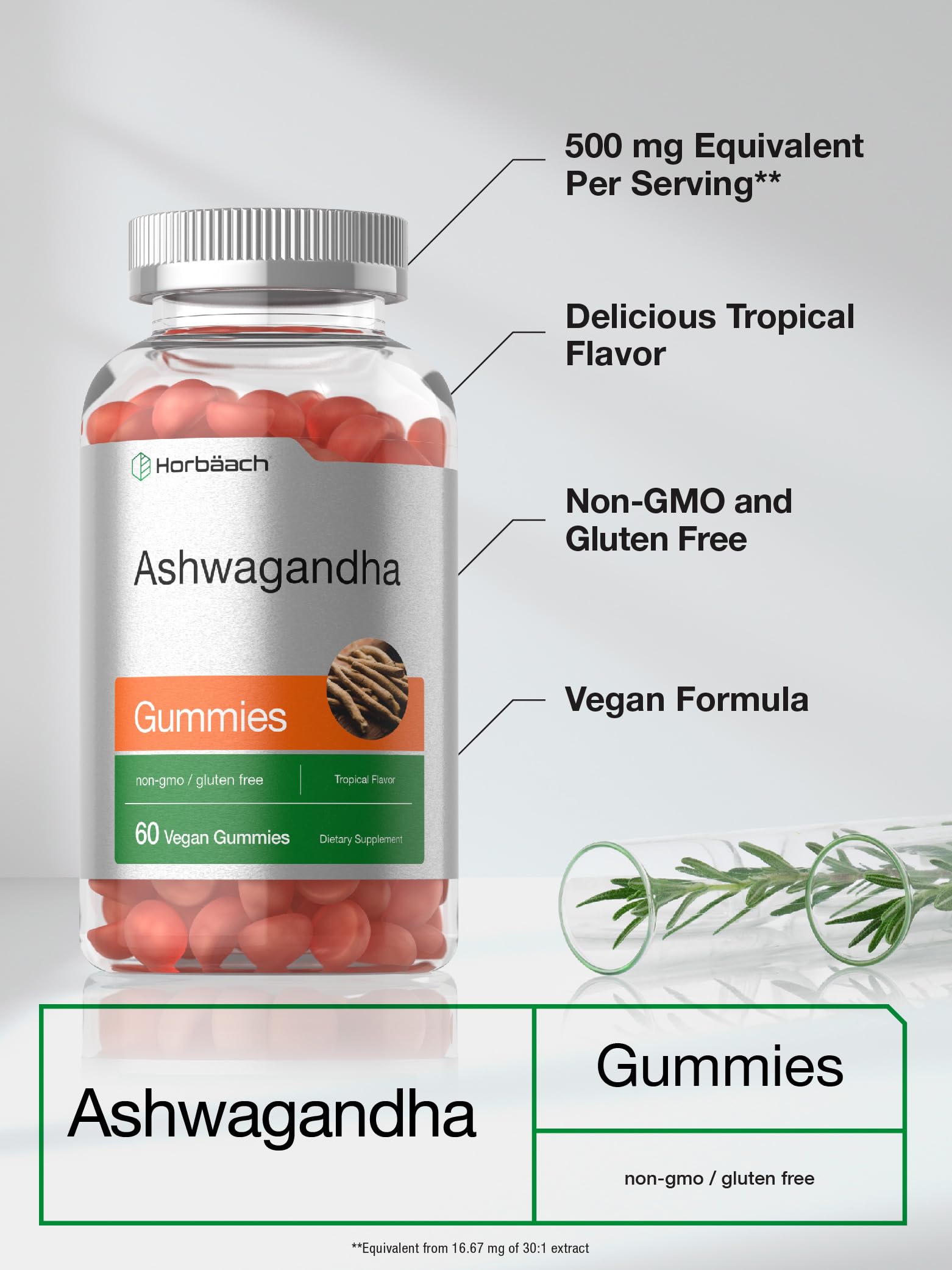 Horbäach Ashwagandha Gummies | 60 Vegan Chewable Gummies | Tropical Flavor | Supplement for Men and Women | Herb Root Extract | Vegan, Non-GMO, Gluten Free - Image 4