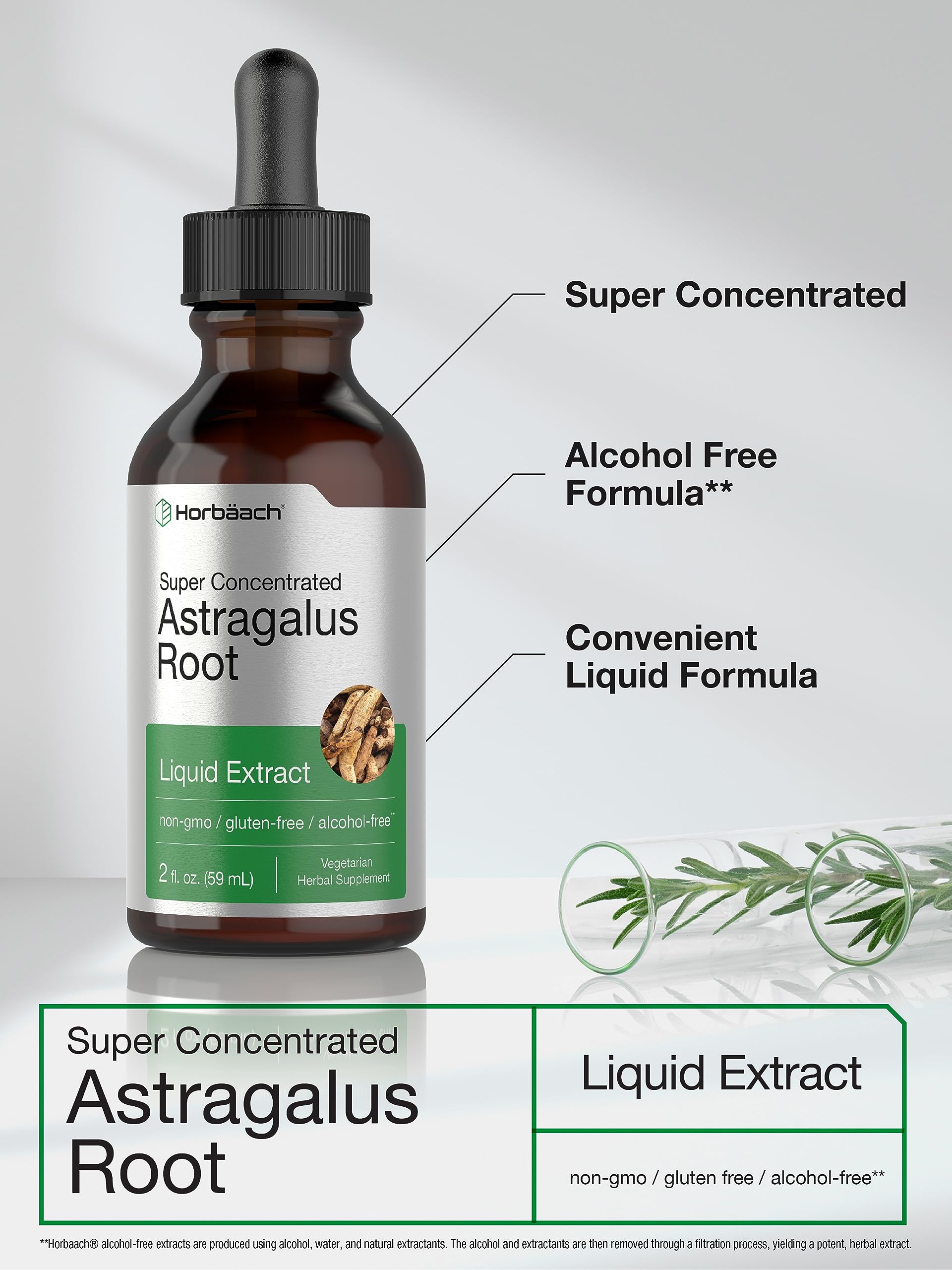 Horbäach Astragalus Root Extract Liquid | 2 fl oz | Alcohol Free Tincture | Super Concentrated | Vegetarian, Non-GMO, Gluten Free Supplement - Image 3