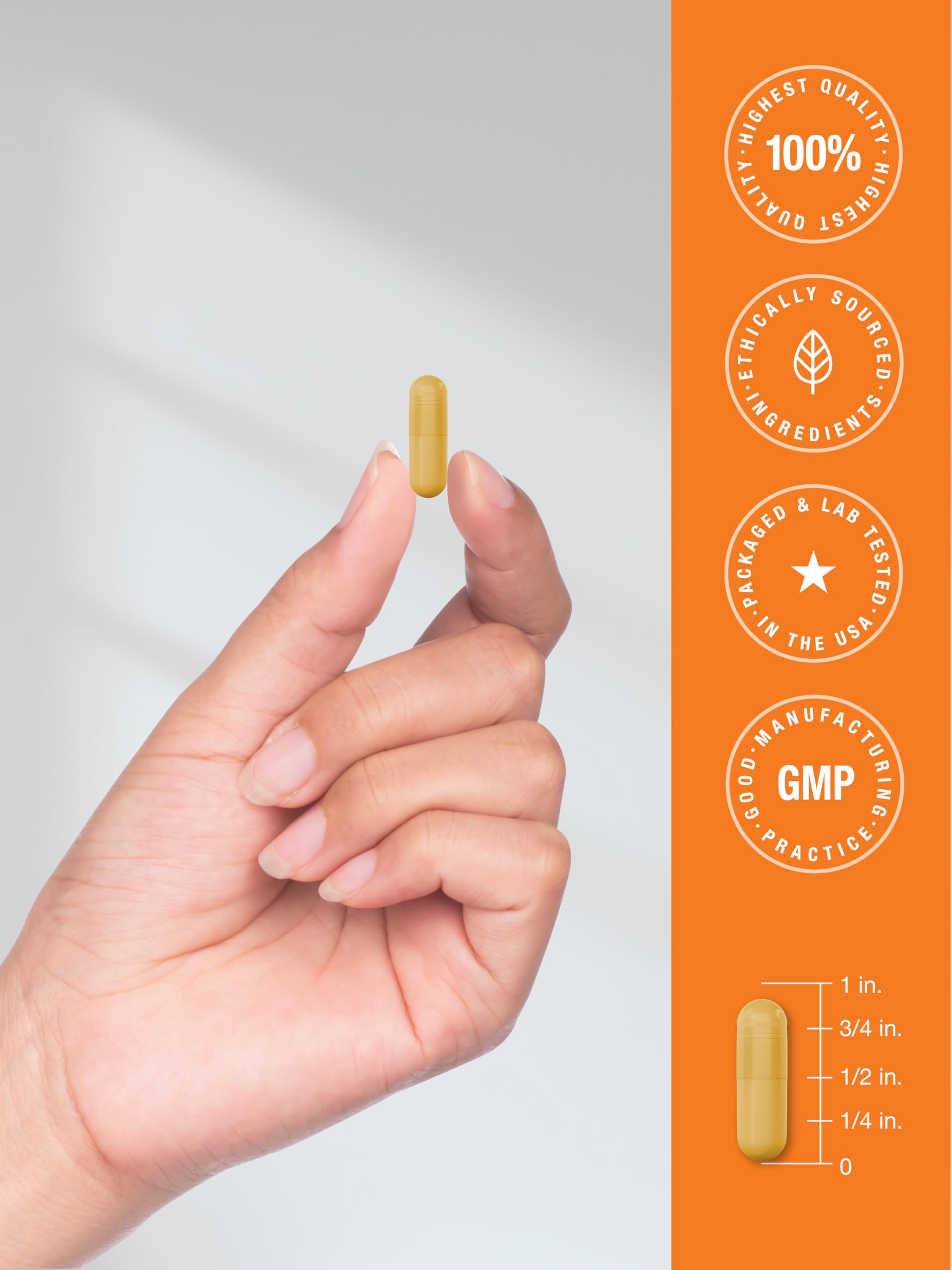 Horbäach B-100 Complex Vitamin | 60 Capsules | Non-GMO and Gluten Free Supplement - Image 7
