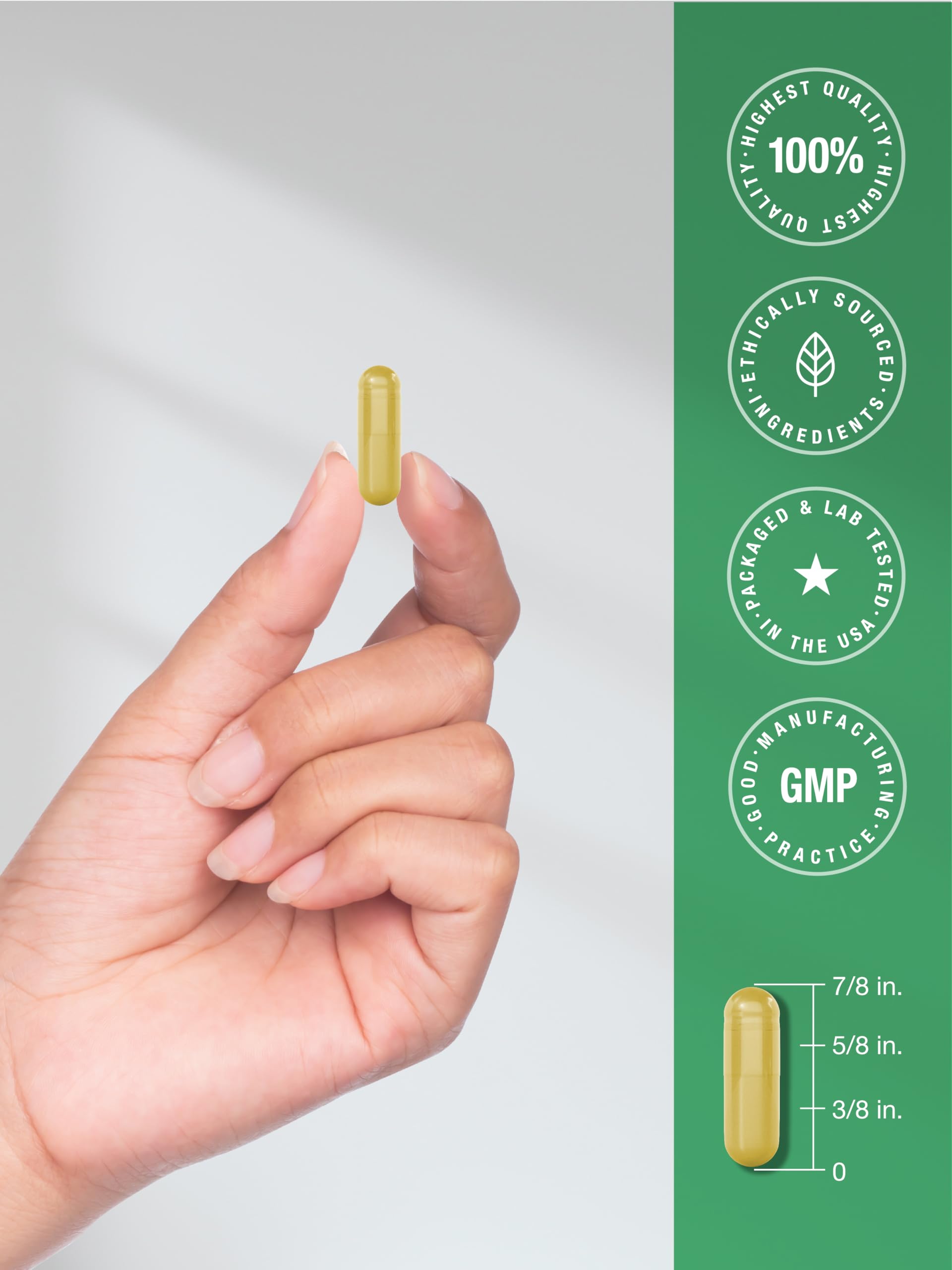 Horbäach Berberine with Ceylon Cinnamon | 120 Veggie Capsules | Vegetarian, Non-GMO & Gluten Free Supplement | Berberine Complex - Image 7