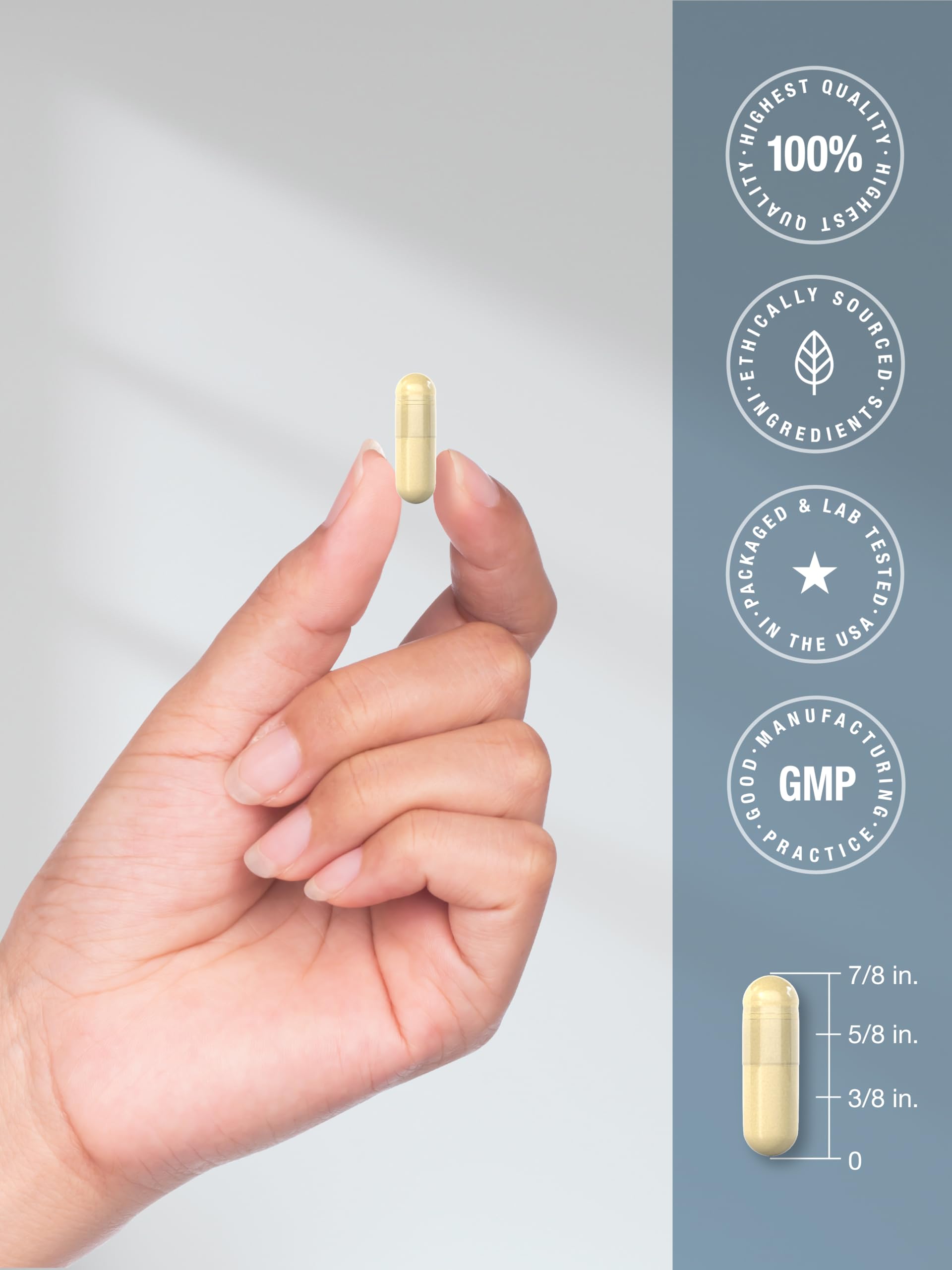 Horbäach Beta Glucan 1 3D 700 mg | 90 Capsules | Beta 1,3, 1,6 D Glucan | Non-GMO, Gluten Free Supplement - Image 7