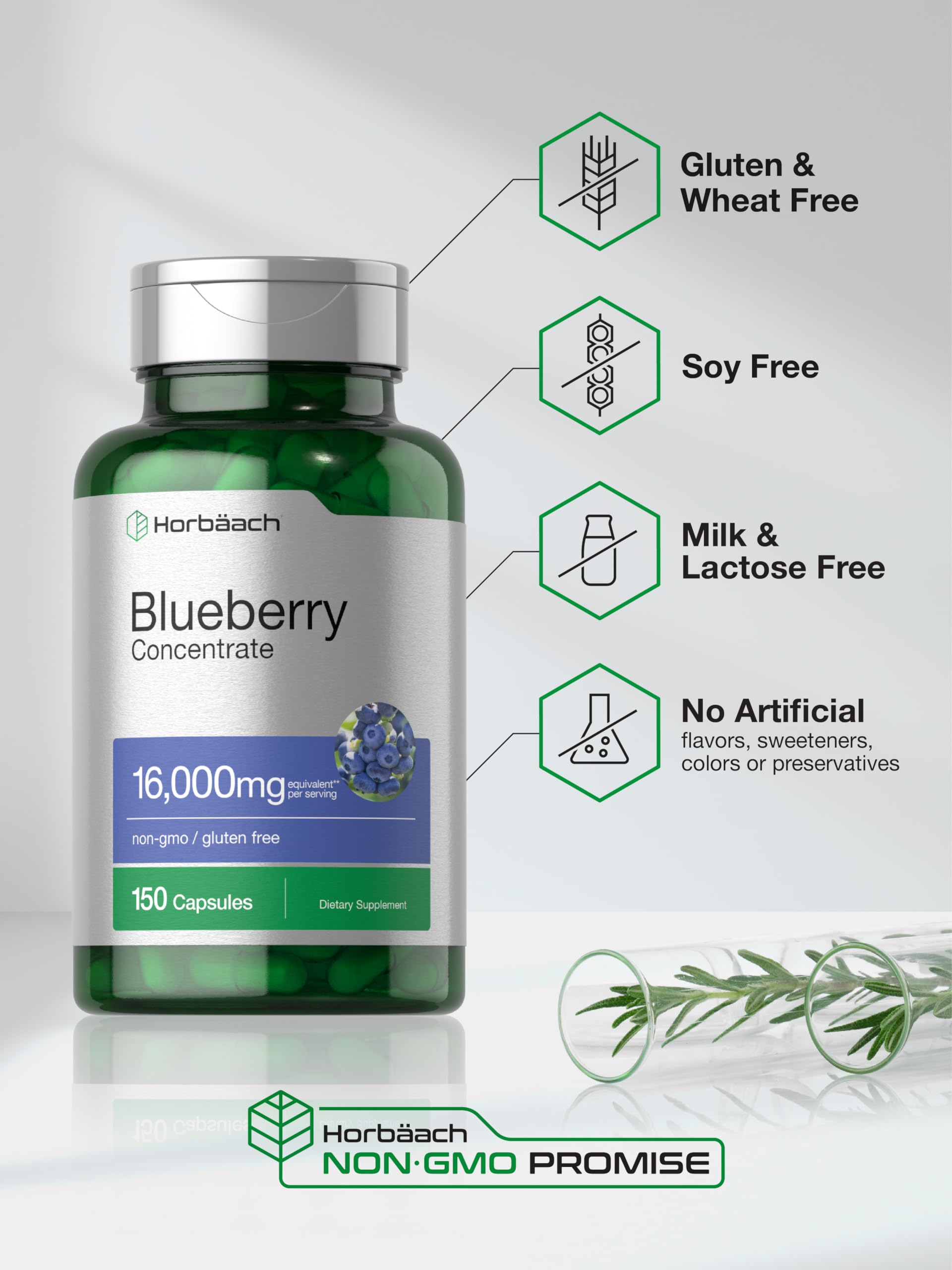 Horbäach Blueberry Extract Supplement | 150 Capsules | Blueberry Concentrate | Non-GMO, Gluten Free - Image 5