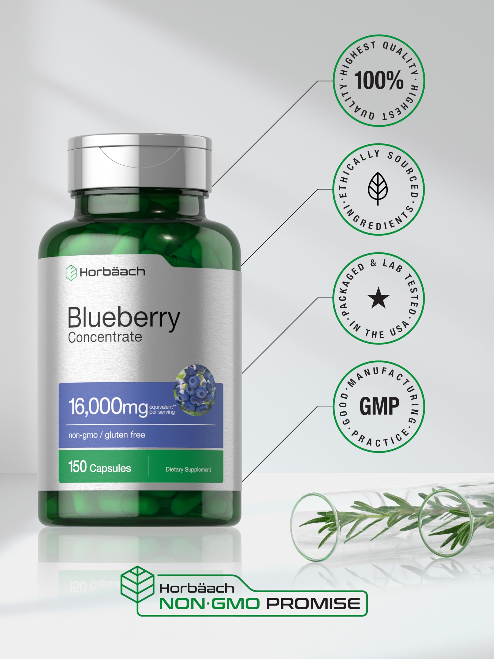 Horbäach Blueberry Extract Supplement | 150 Capsules | Blueberry Concentrate | Non-GMO, Gluten Free - Image 6