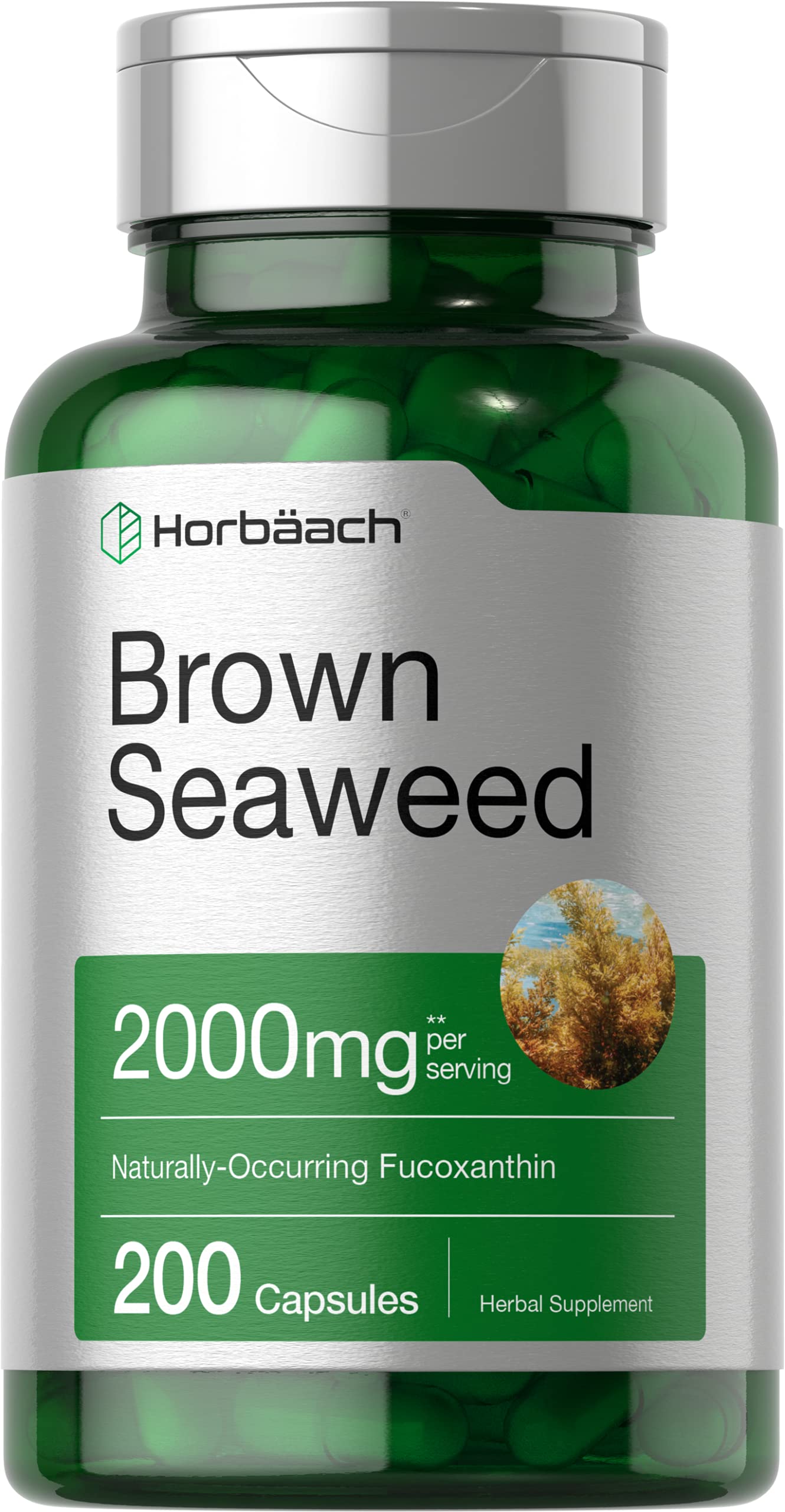 Horbäach Brown Seaweed Extract Capsules | 200 Pills | Fucoxanthin Supplement | Non-GMO, Gluten Free