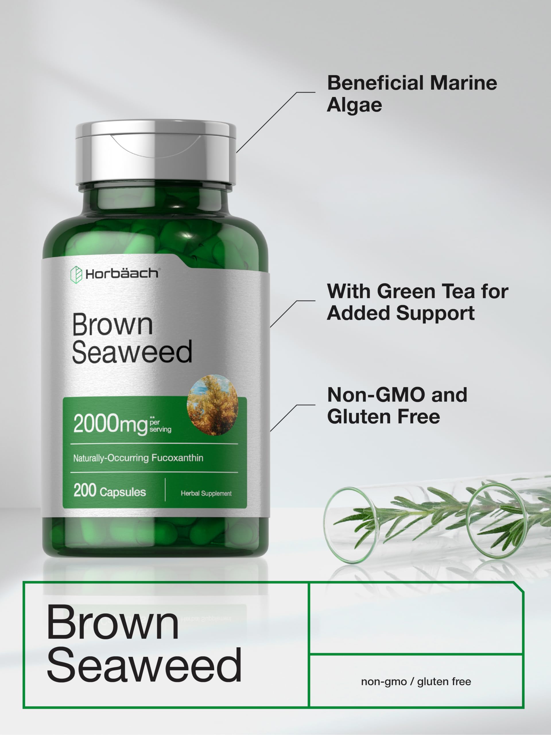 Horbäach Brown Seaweed Extract Capsules | 200 Pills | Fucoxanthin Supplement | Non-GMO, Gluten Free - Image 3
