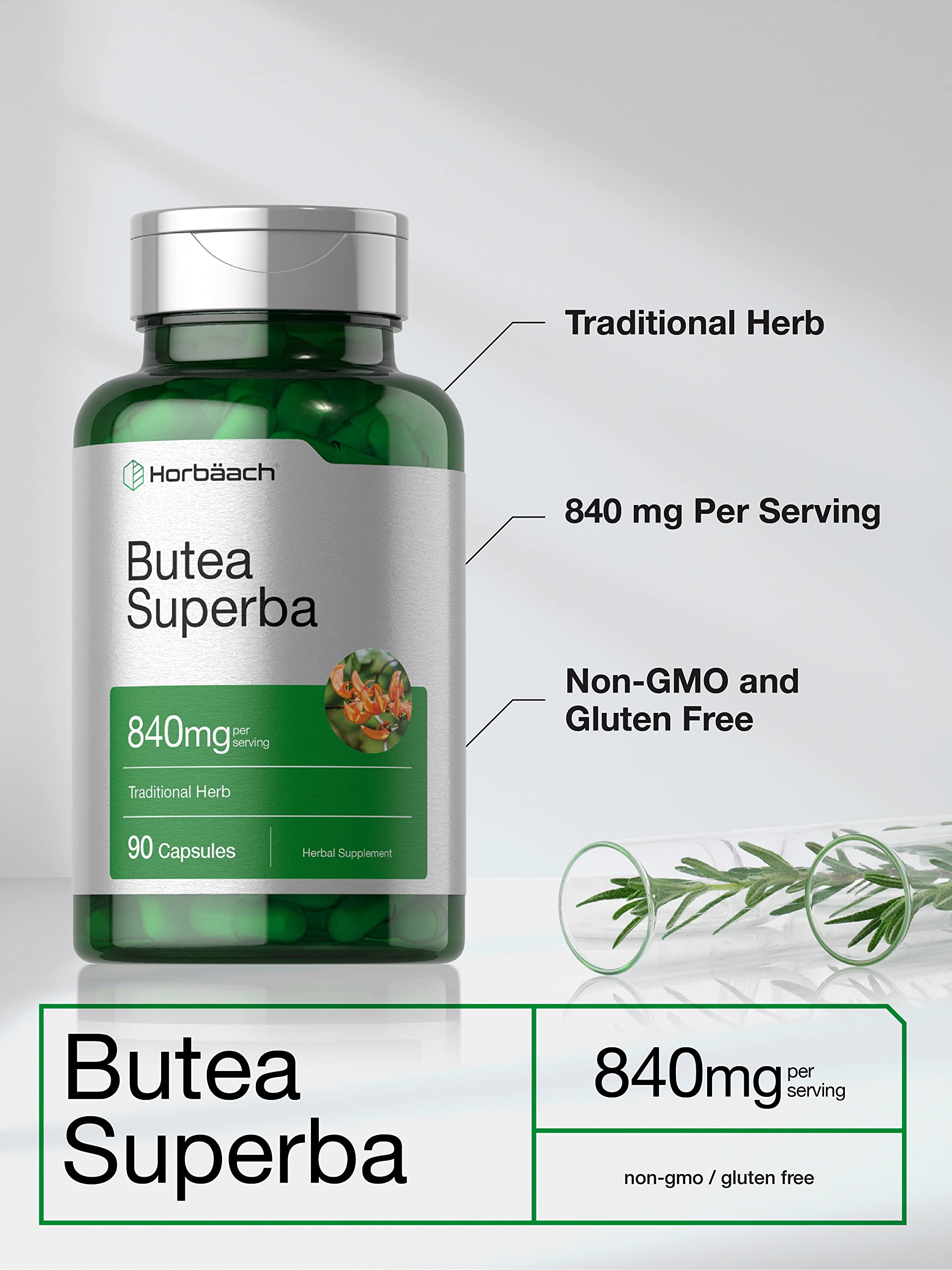 Horbäach Butea Superba Root 840mg | 90 Capsules | Male Performance | Non GMO, Gluten Free Supplement - Image 3