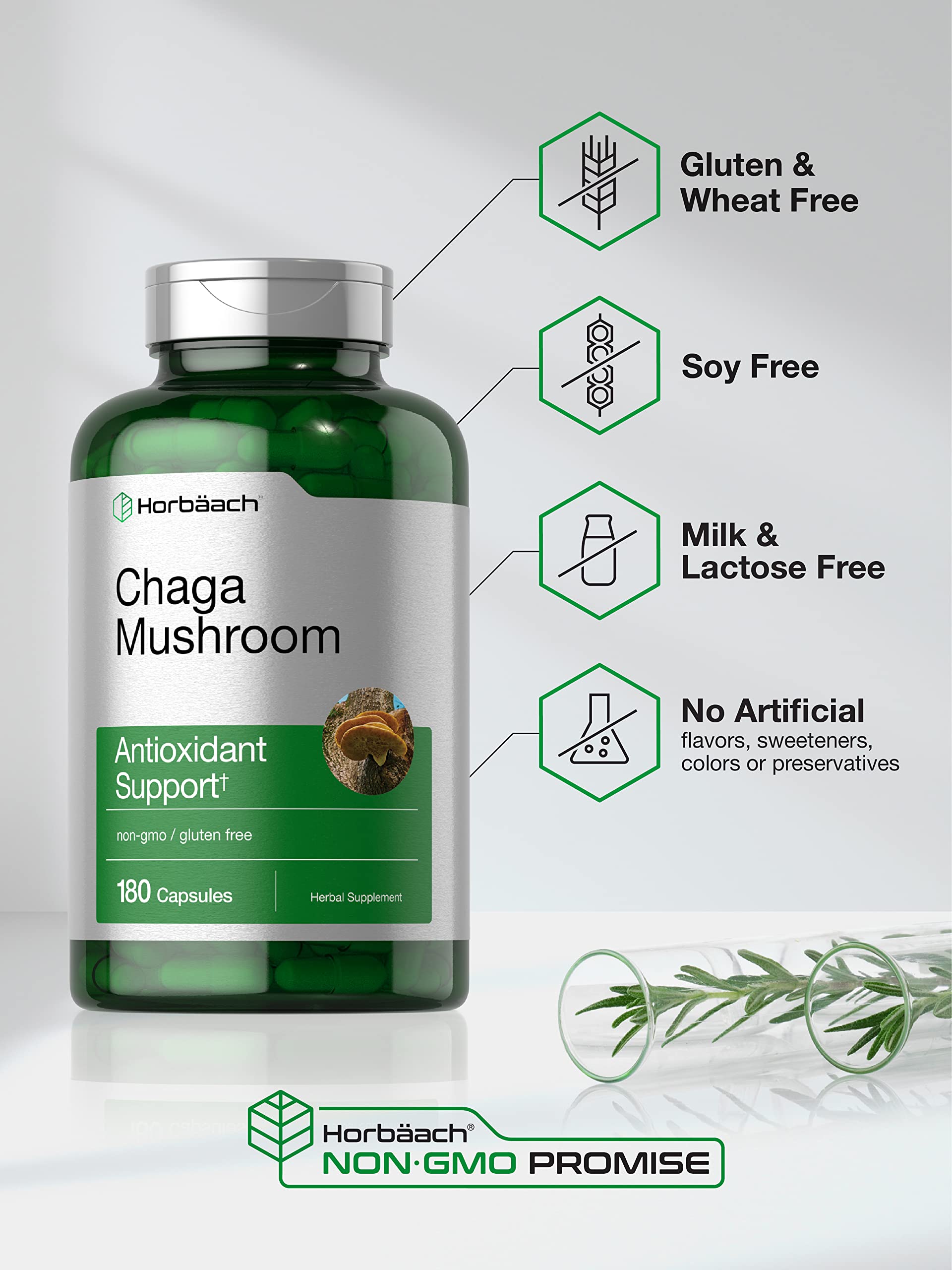 Horbäach Chaga Mushroom Capsules | 180 Count | Non-GMO & Gluten Free Supplement - Image 4