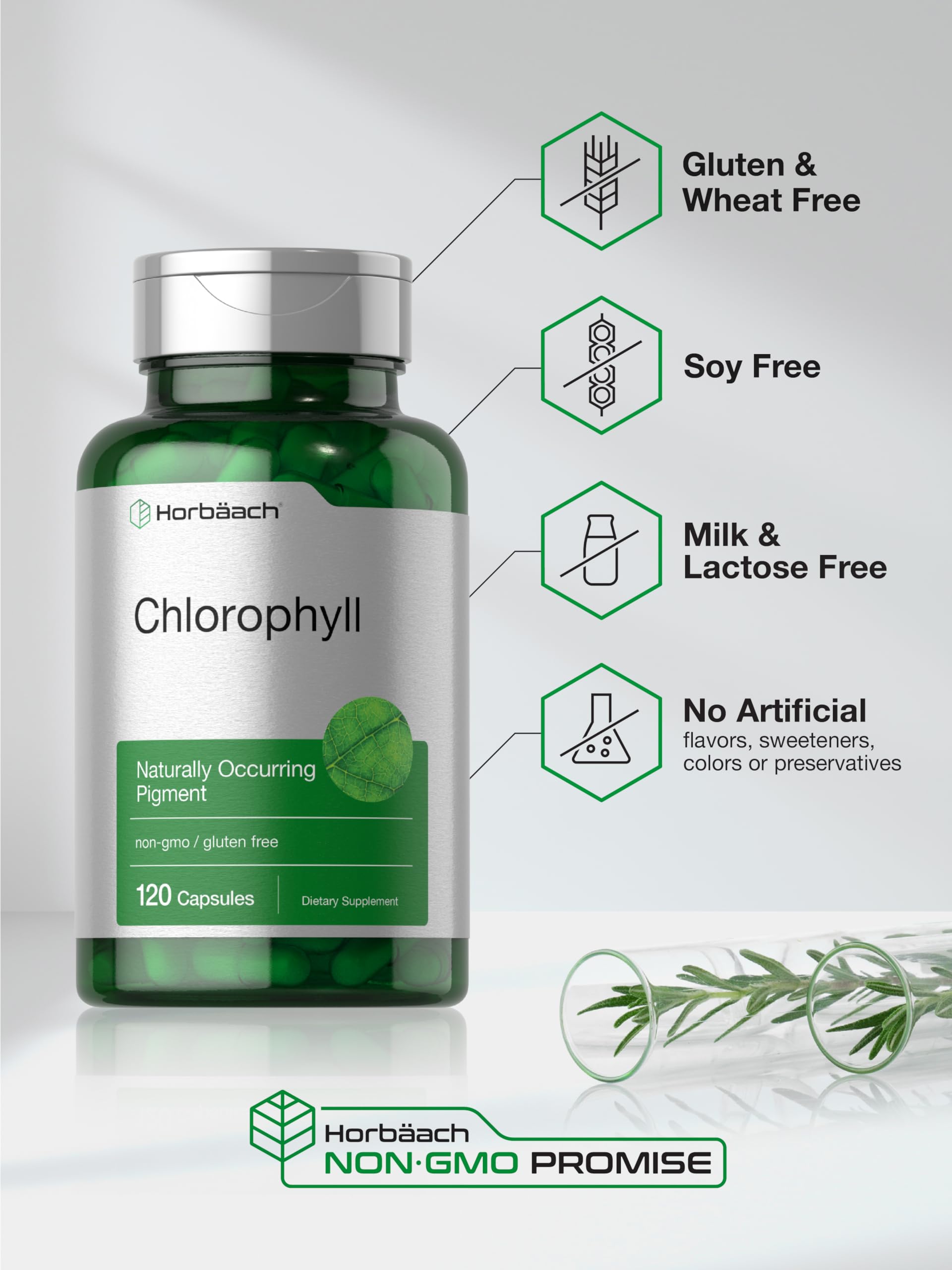 Horbäach Chlorophyll Capsules | 120 Count | with Copper | Non-GMO and Gluten Free Supplement - Image 5