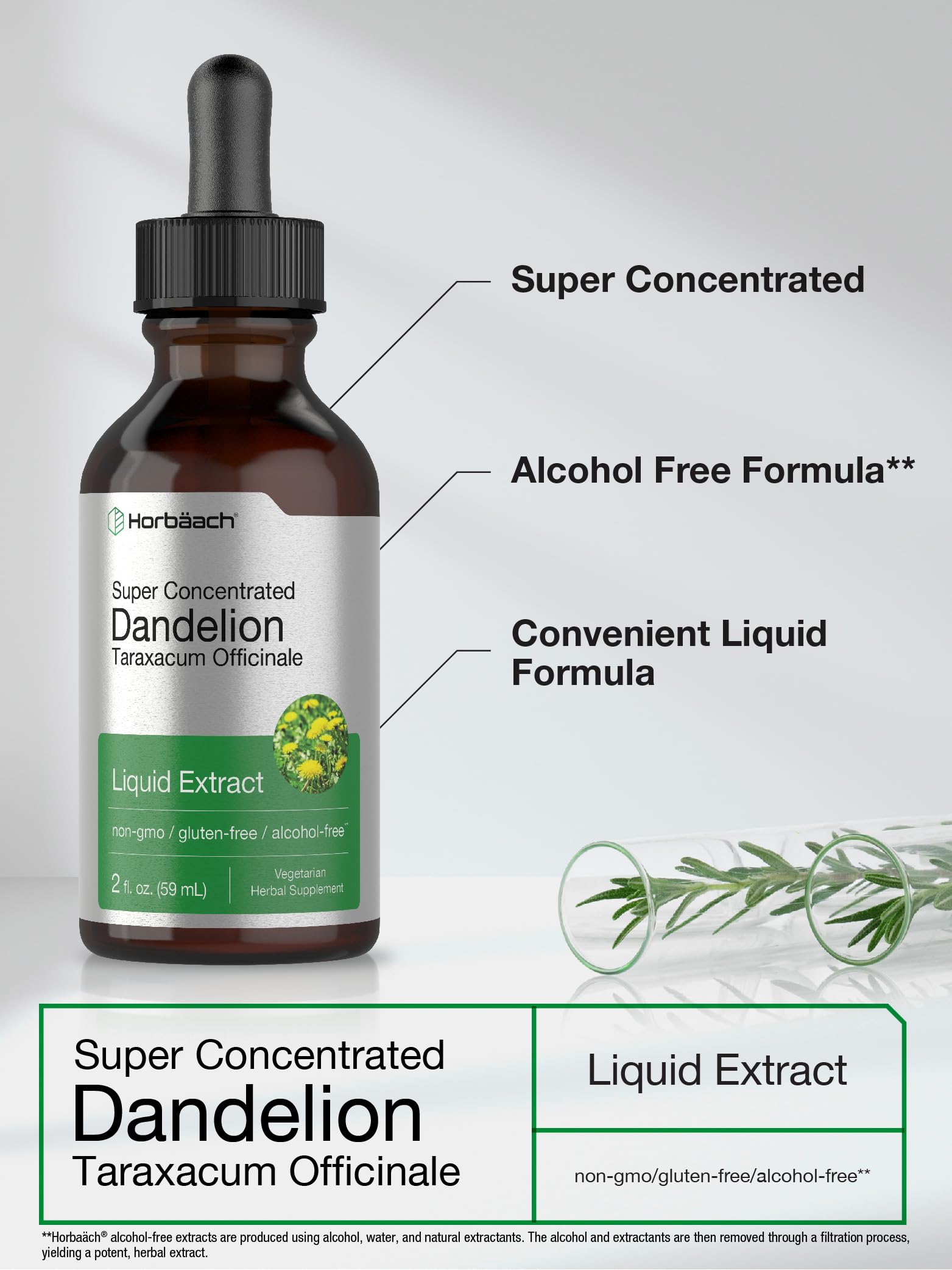 Horbäach Dandelion Root Extract Supplement | 2 fl oz | Super Concentrated | Alcohol Free Liquid Tincture | Vegetarian, Non-GMO, Gluten Free - Image 3