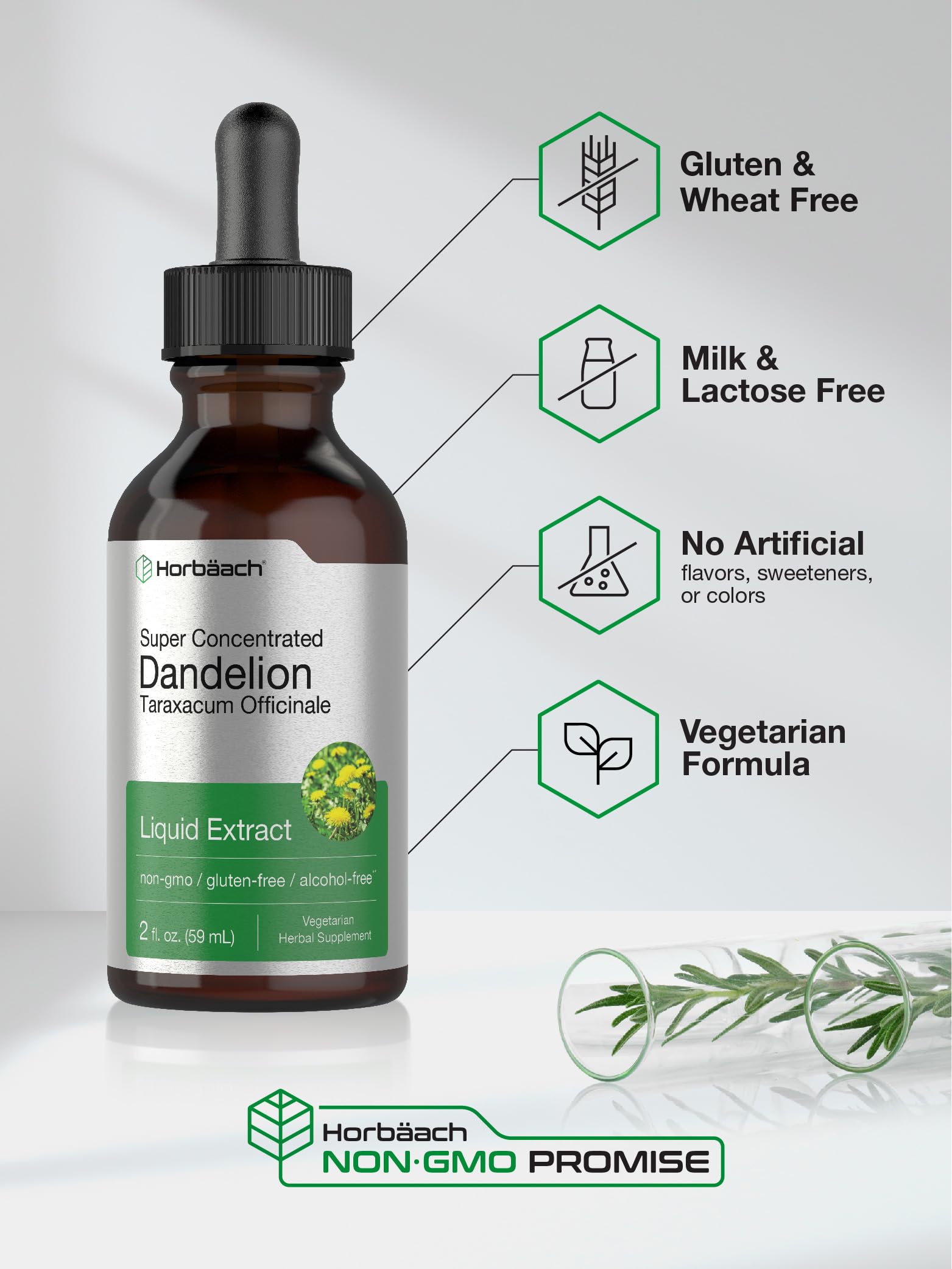 Horbäach Dandelion Root Extract Supplement | 2 fl oz | Super Concentrated | Alcohol Free Liquid Tincture | Vegetarian, Non-GMO, Gluten Free - Image 4
