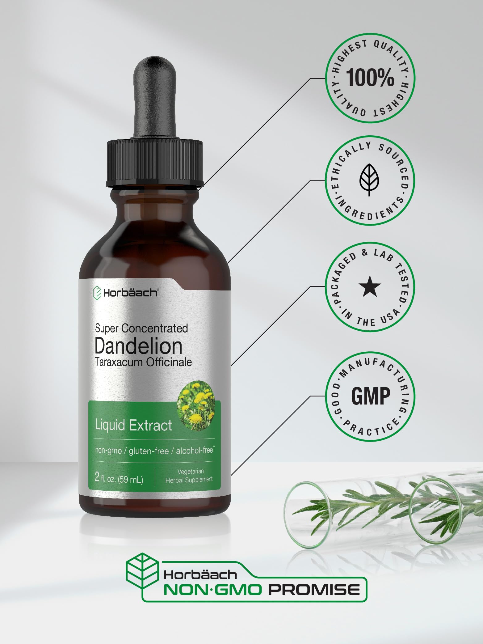 Horbäach Dandelion Root Extract Supplement | 2 fl oz | Super Concentrated | Alcohol Free Liquid Tincture | Vegetarian, Non-GMO, Gluten Free - Image 5