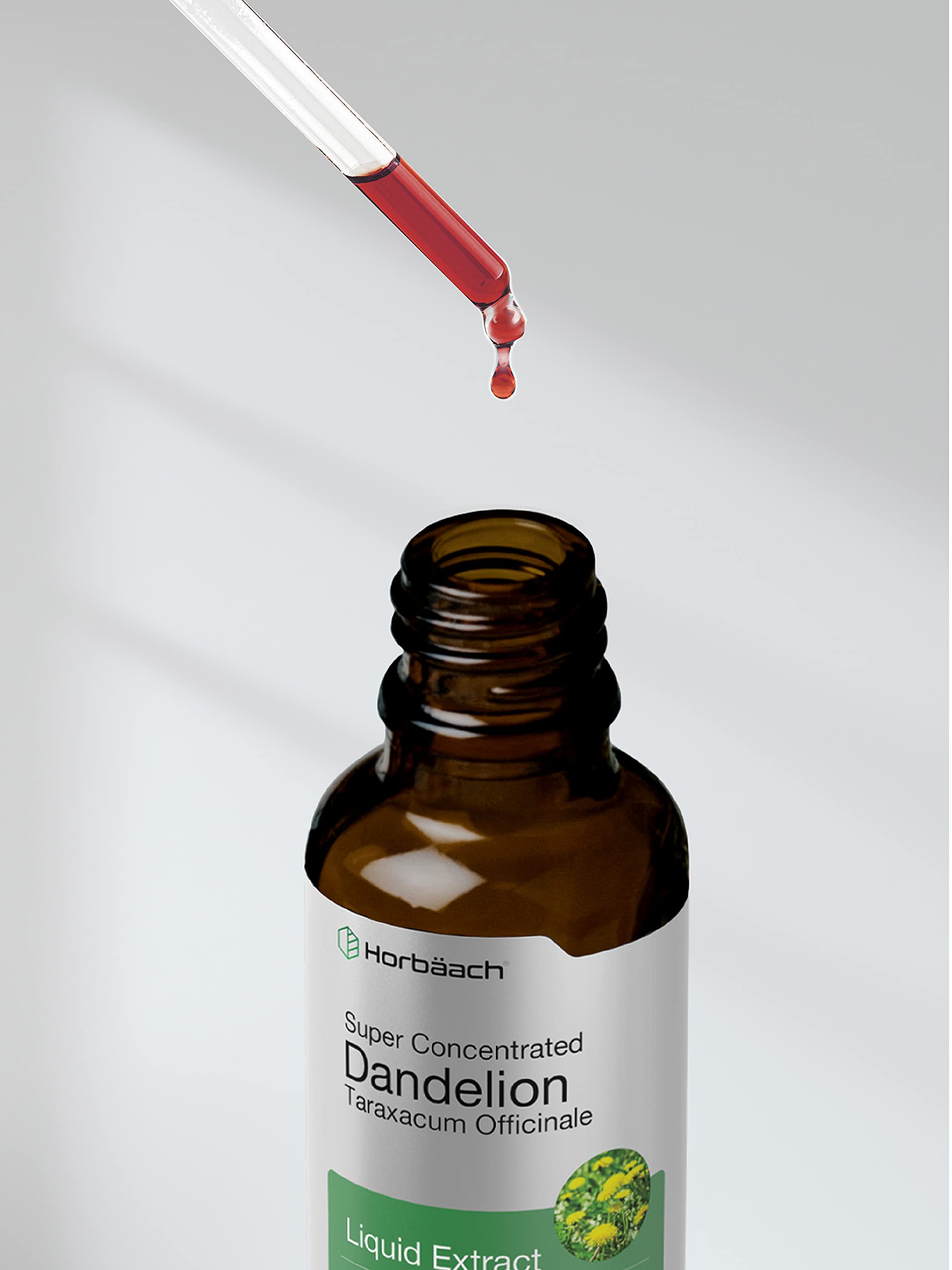 Horbäach Dandelion Root Extract Supplement | 2 fl oz | Super Concentrated | Alcohol Free Liquid Tincture | Vegetarian, Non-GMO, Gluten Free - Image 7