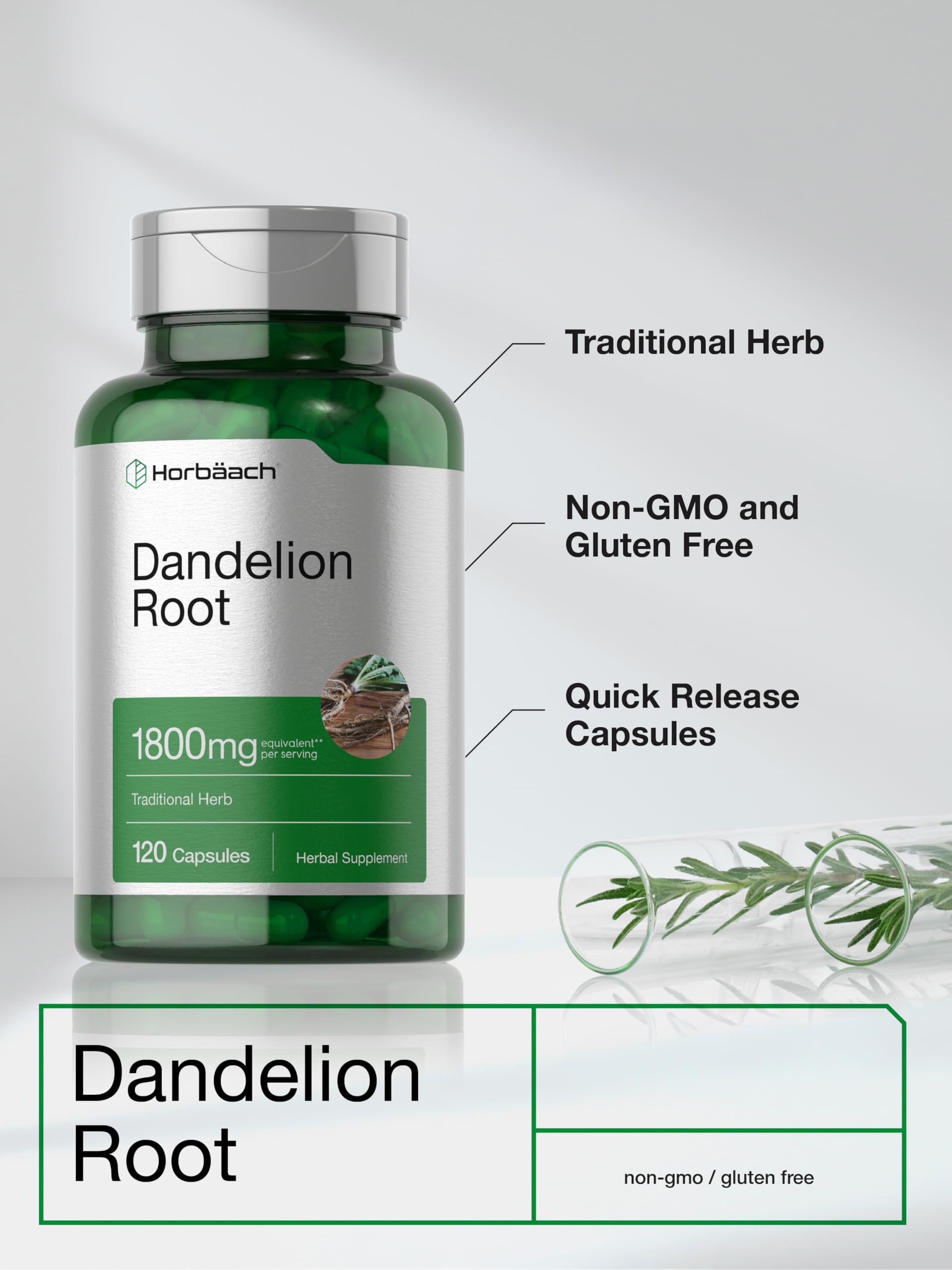 Horbäach Dandelion Root Supplement | 120 Capsules | Non-GMO, Gluten Free - Image 4