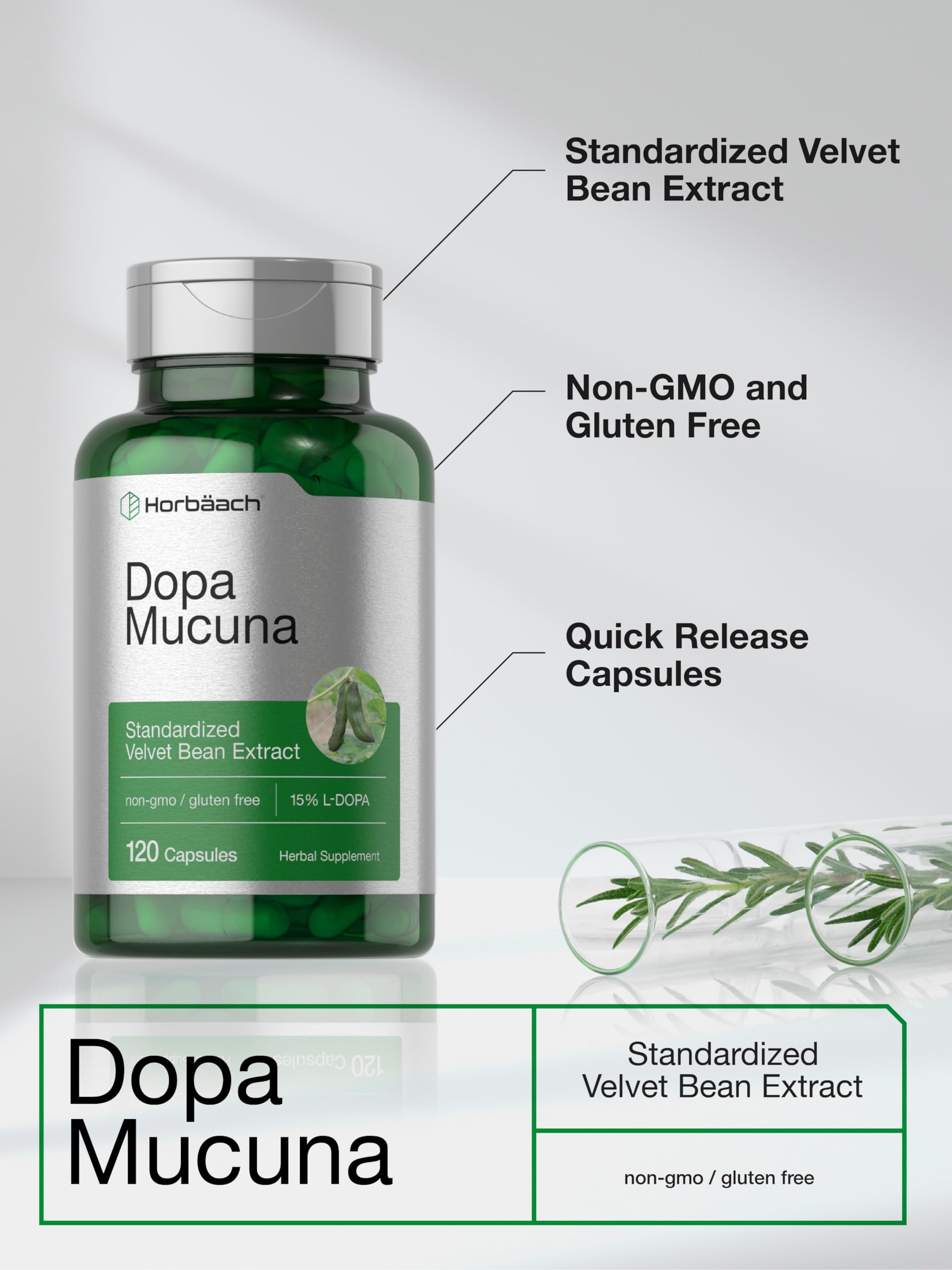 Horbäach Dopa Mucuna Supplement | 120 Capsules | Velvet Bean Herbal Extract | 15% L-Dopa | Non-GMO & Gluten Free - Image 4
