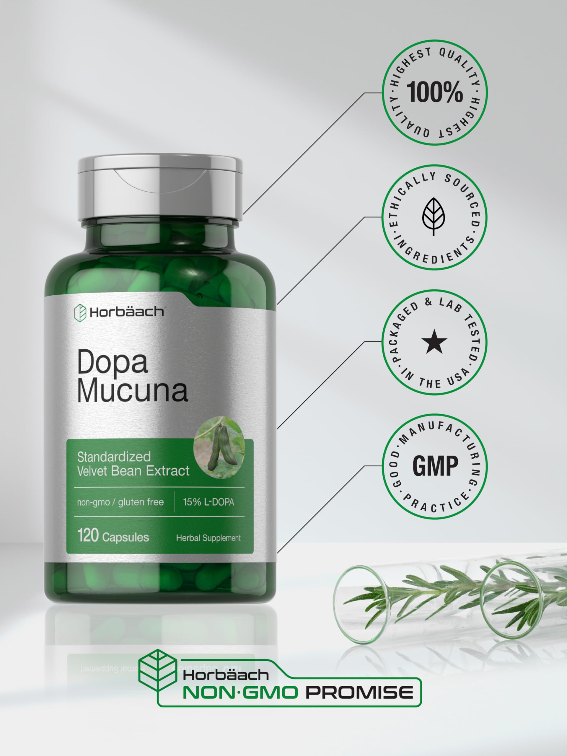 Horbäach Dopa Mucuna Supplement | 120 Capsules | Velvet Bean Herbal Extract | 15% L-Dopa | Non-GMO & Gluten Free - Image 6