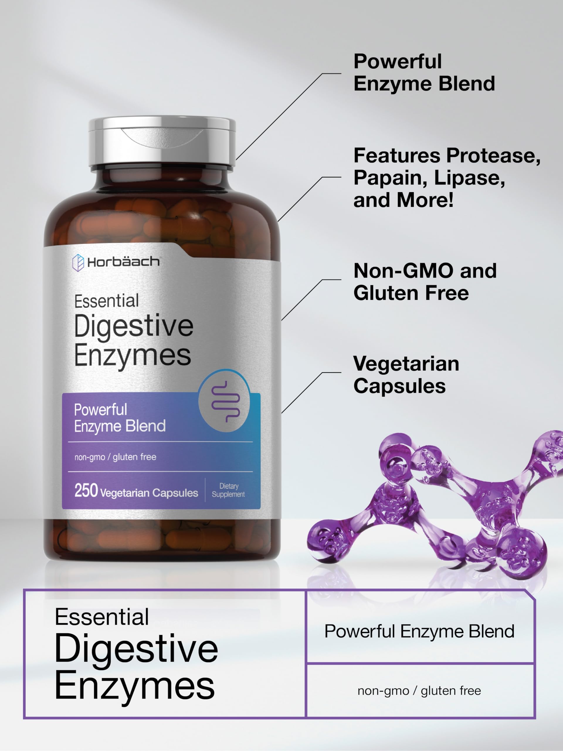 Horbäach Essential Digestive Enzymes | 250 Capsules | Powerful Enzyme Blend for Men & Women | Non-GMO & Gluten Free Supplement - Image 4