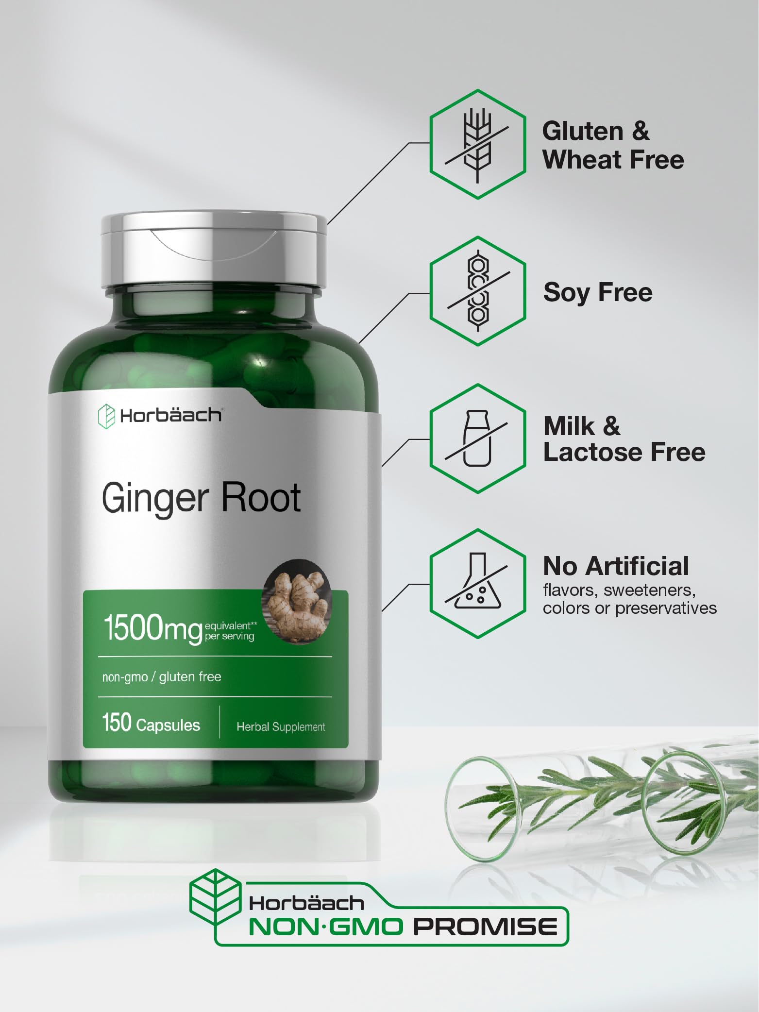 Horbäach Ginger Root Capsules | 150 Pills | Non-GMO, Gluten Free | Ginger Root Extract - Image 5