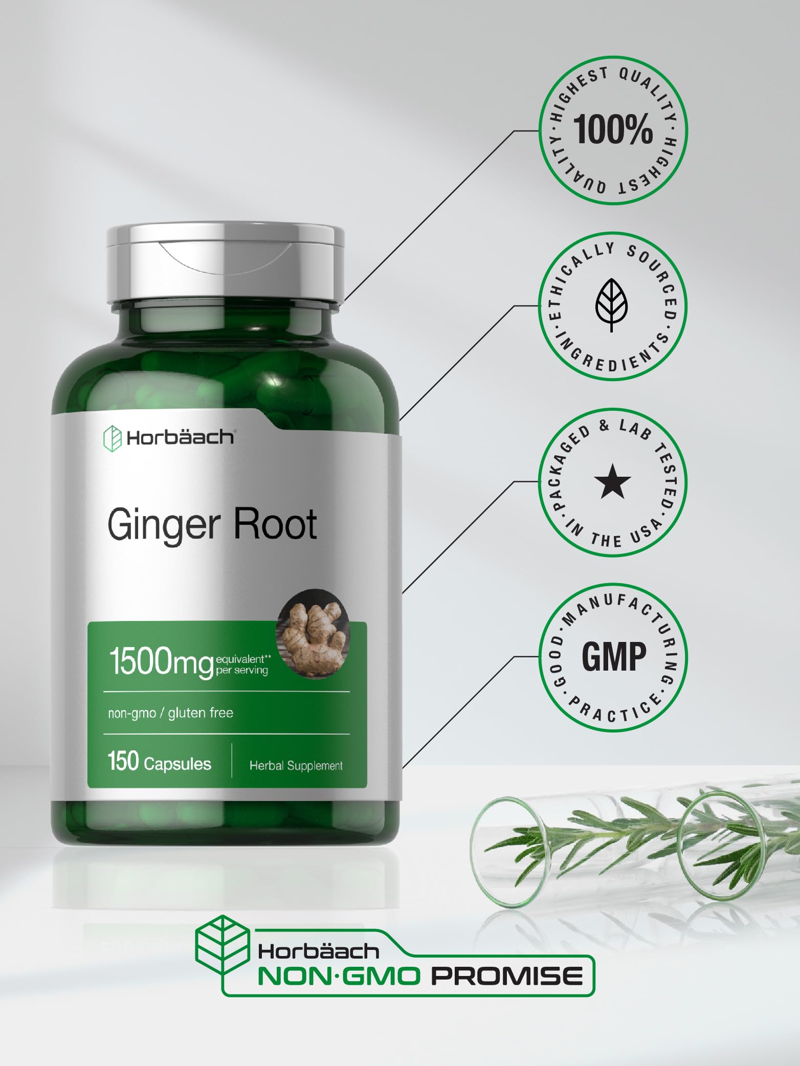 Horbäach Ginger Root Capsules | 150 Pills | Non-GMO, Gluten Free | Ginger Root Extract - Image 6