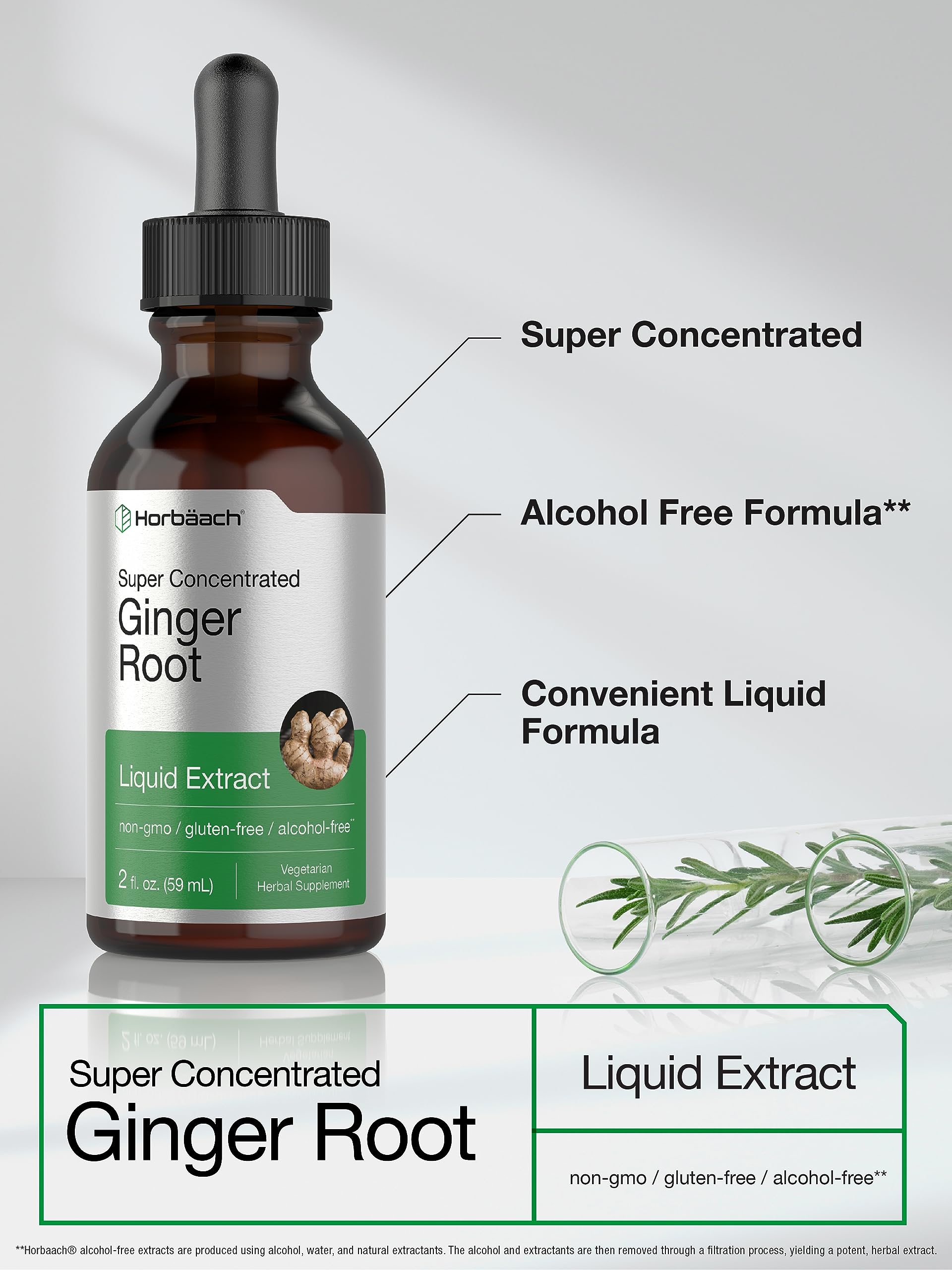 Horbäach Ginger Root Extract Liquid | 2 oz | Alcohol Free Supplement | Super Concentrated | Vegetarian, Non-GMO, Gluten Free - Image 3