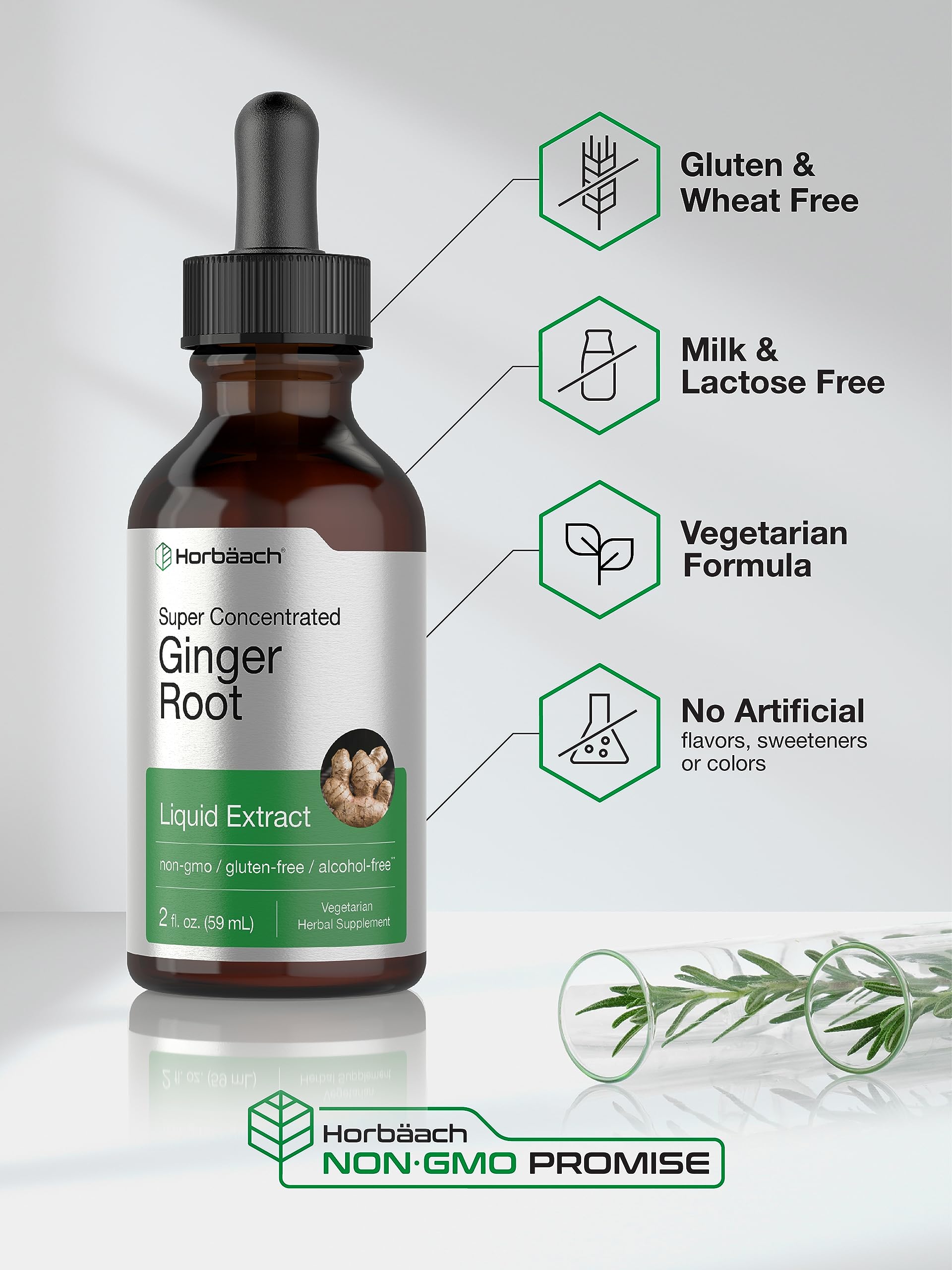 Horbäach Ginger Root Extract Liquid | 2 oz | Alcohol Free Supplement | Super Concentrated | Vegetarian, Non-GMO, Gluten Free - Image 4