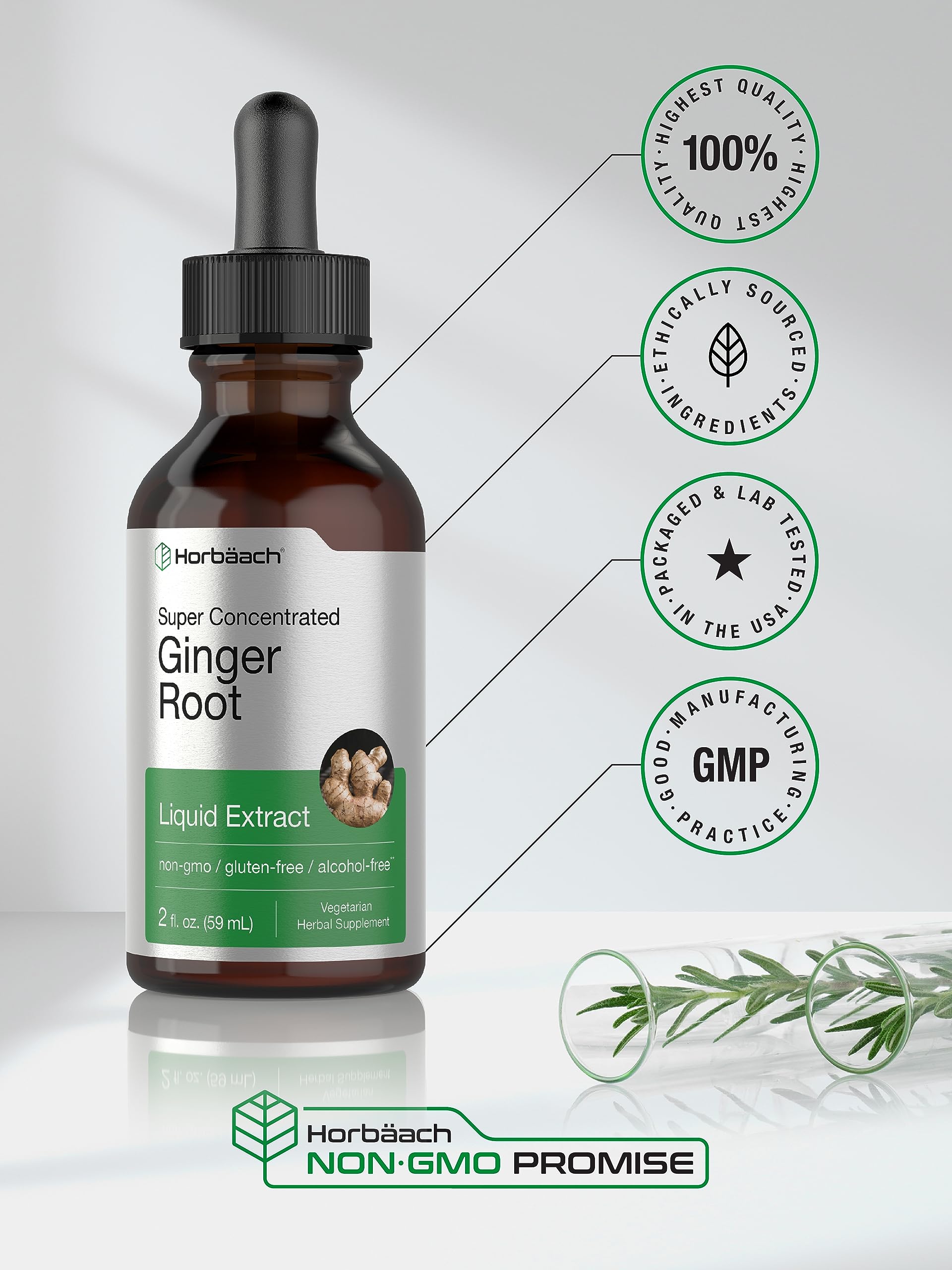 Horbäach Ginger Root Extract Liquid | 2 oz | Alcohol Free Supplement | Super Concentrated | Vegetarian, Non-GMO, Gluten Free - Image 5