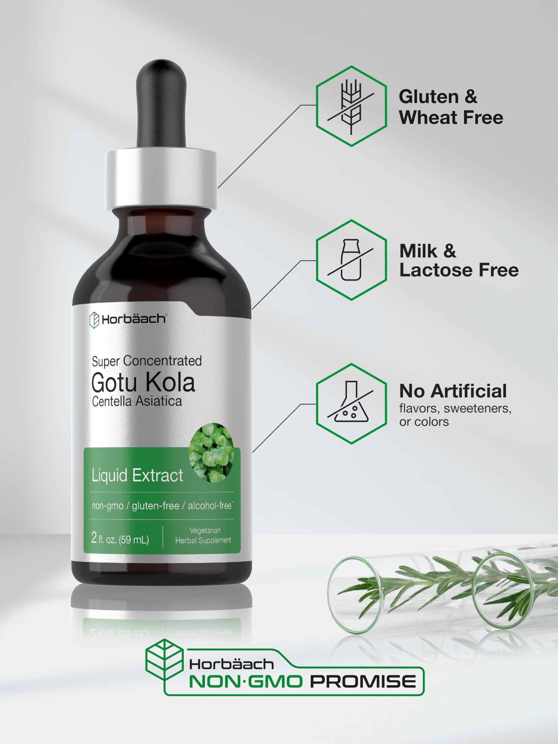 Horbäach Gotu Kola Extract | 2 fl oz | Alcohol Free | Super Concentrated Liquid Herb Supplement | Vegetarian, Non-GMO, Gluten Free - Image 5