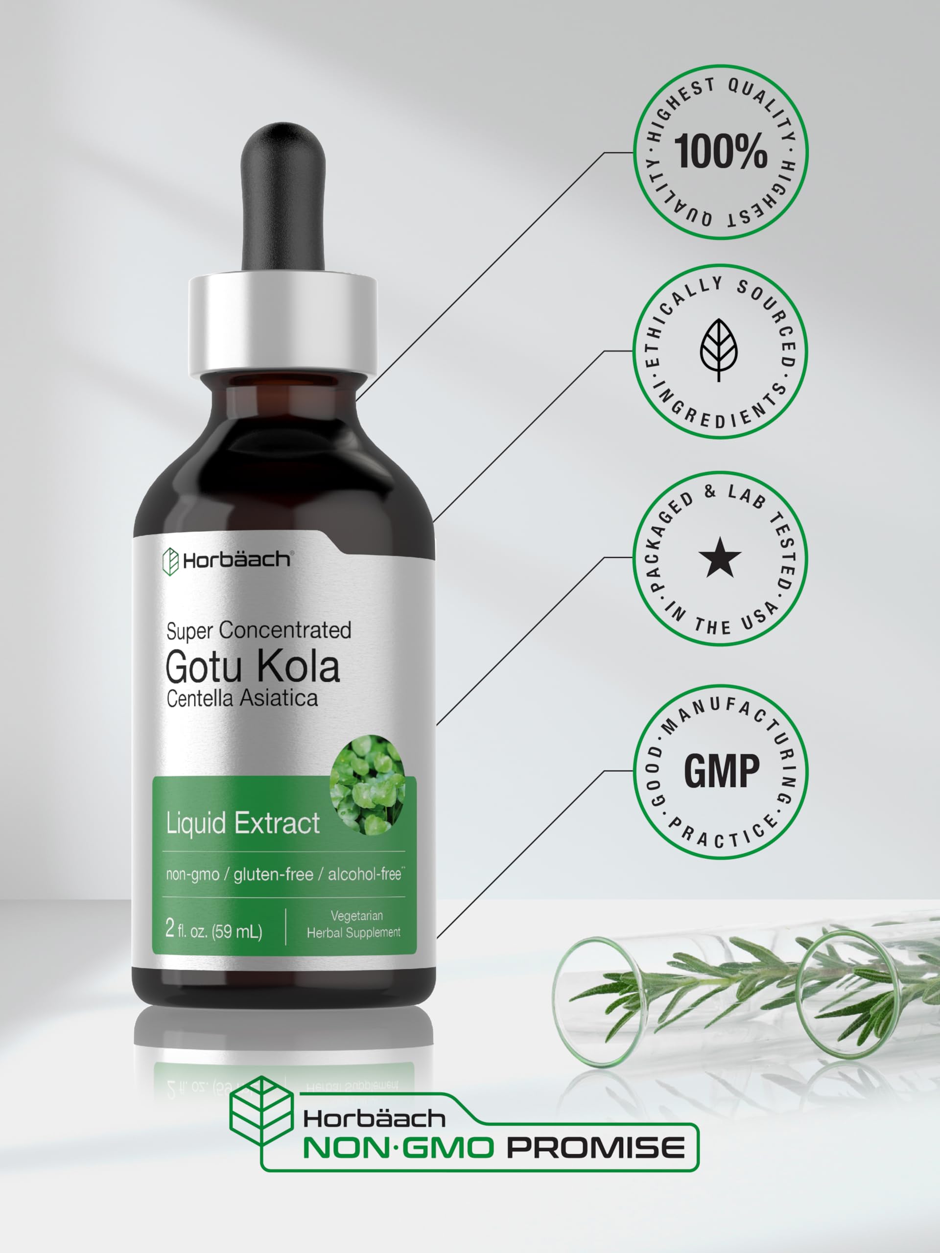 Horbäach Gotu Kola Extract | 2 fl oz | Alcohol Free | Super Concentrated Liquid Herb Supplement | Vegetarian, Non-GMO, Gluten Free - Image 6