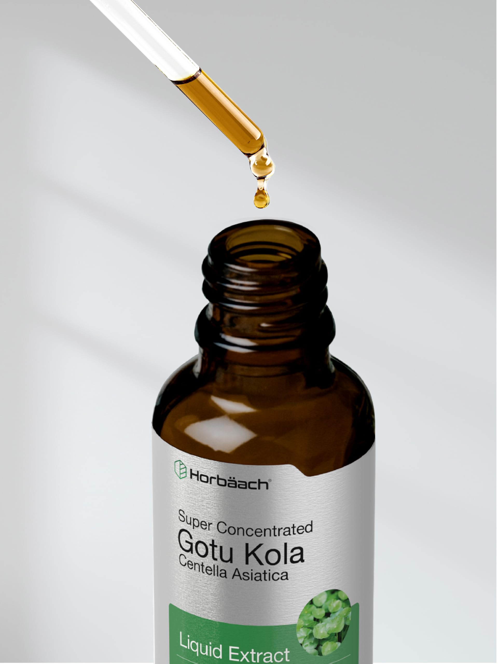 Horbäach Gotu Kola Extract | 2 fl oz | Alcohol Free | Super Concentrated Liquid Herb Supplement | Vegetarian, Non-GMO, Gluten Free - Image 8