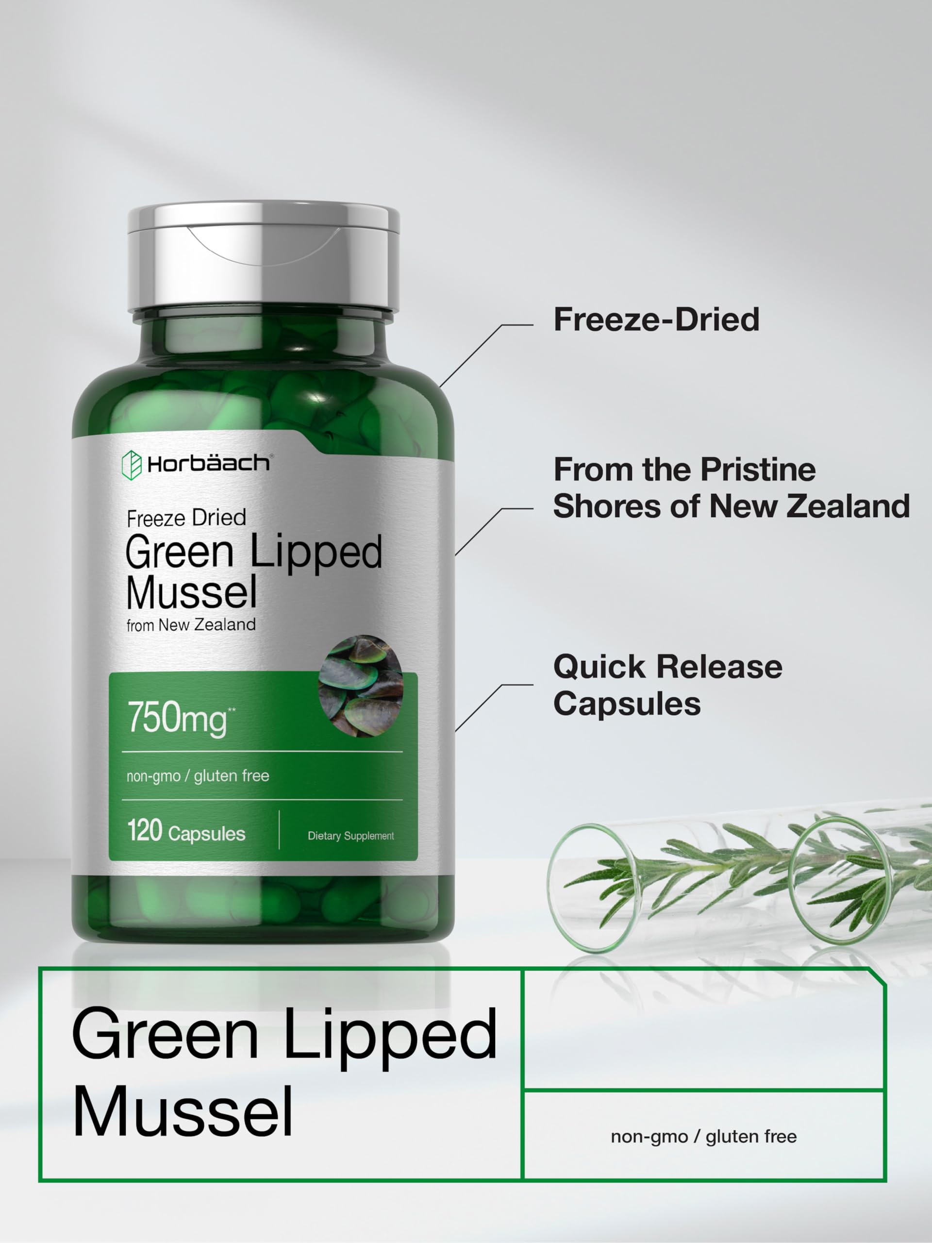 Horbäach Green Lipped Mussel |120 Capsules | from New Zealand | Premium Freeze Dried Mussel Powder | Non-GMO and Gluten Free - Image 3