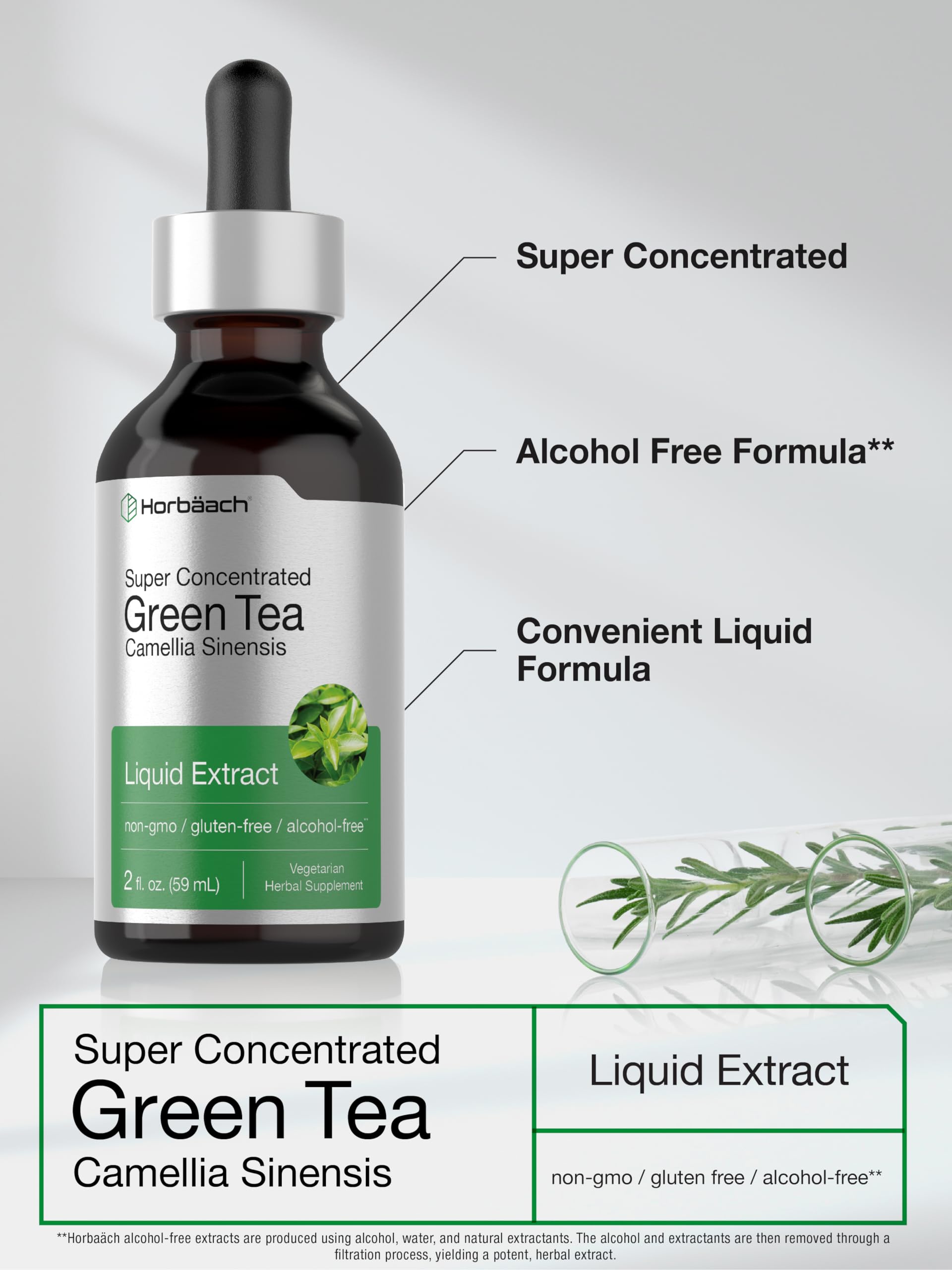 Horbäach Green Tea Extract Liquid Drops | 2 Fl Oz | Herbal Tincture | Alcohol Free | Vegetarian | Super Concentrated Supplement | Non-GMO, Gluten Free - Image 4