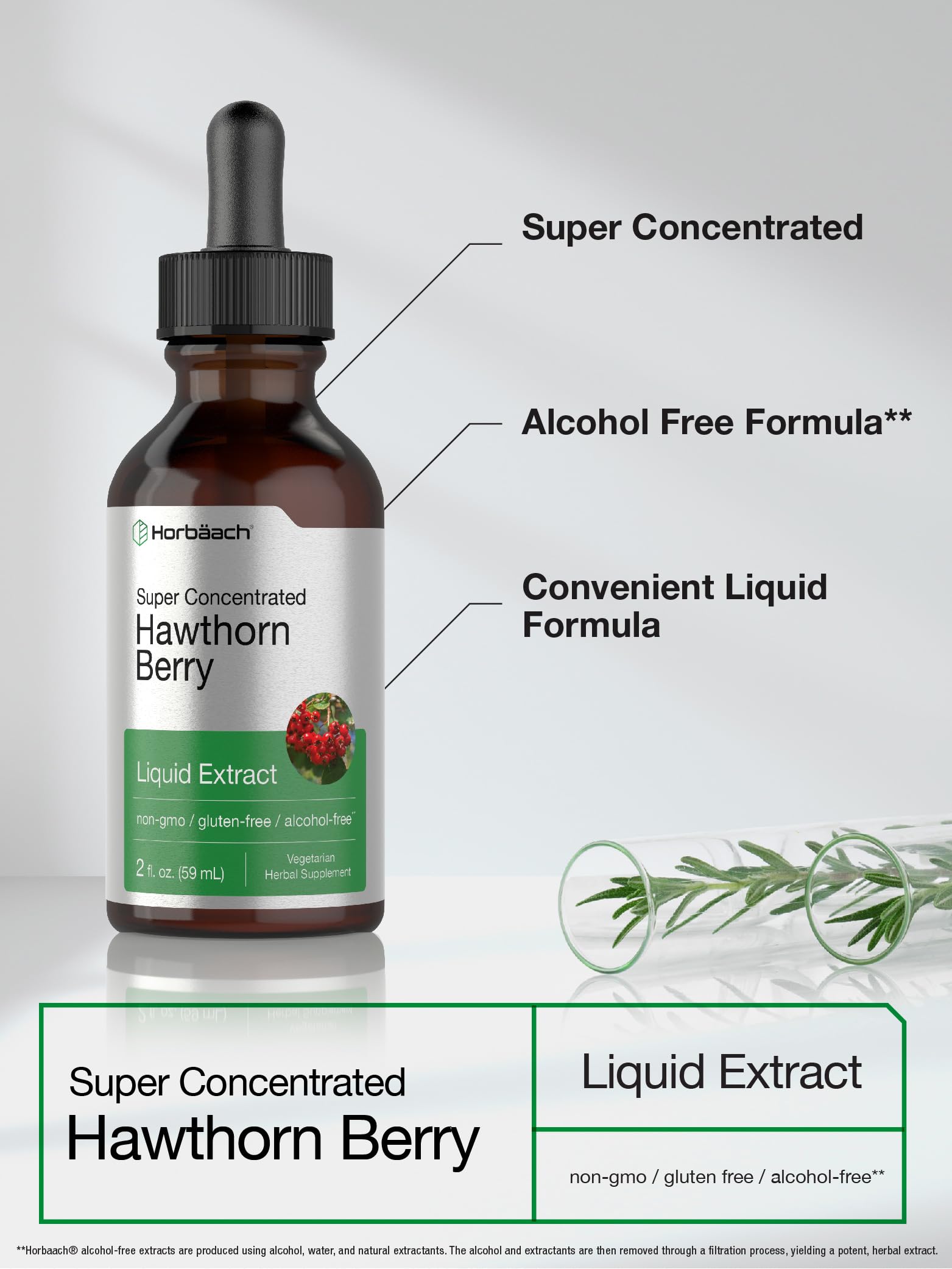 Horbäach Hawthorn Berry Extract | 2 fl oz | Alcohol Free Liquid Tincture | Vegetarian Supplement, Non-GMO, Gluten Free - Image 3