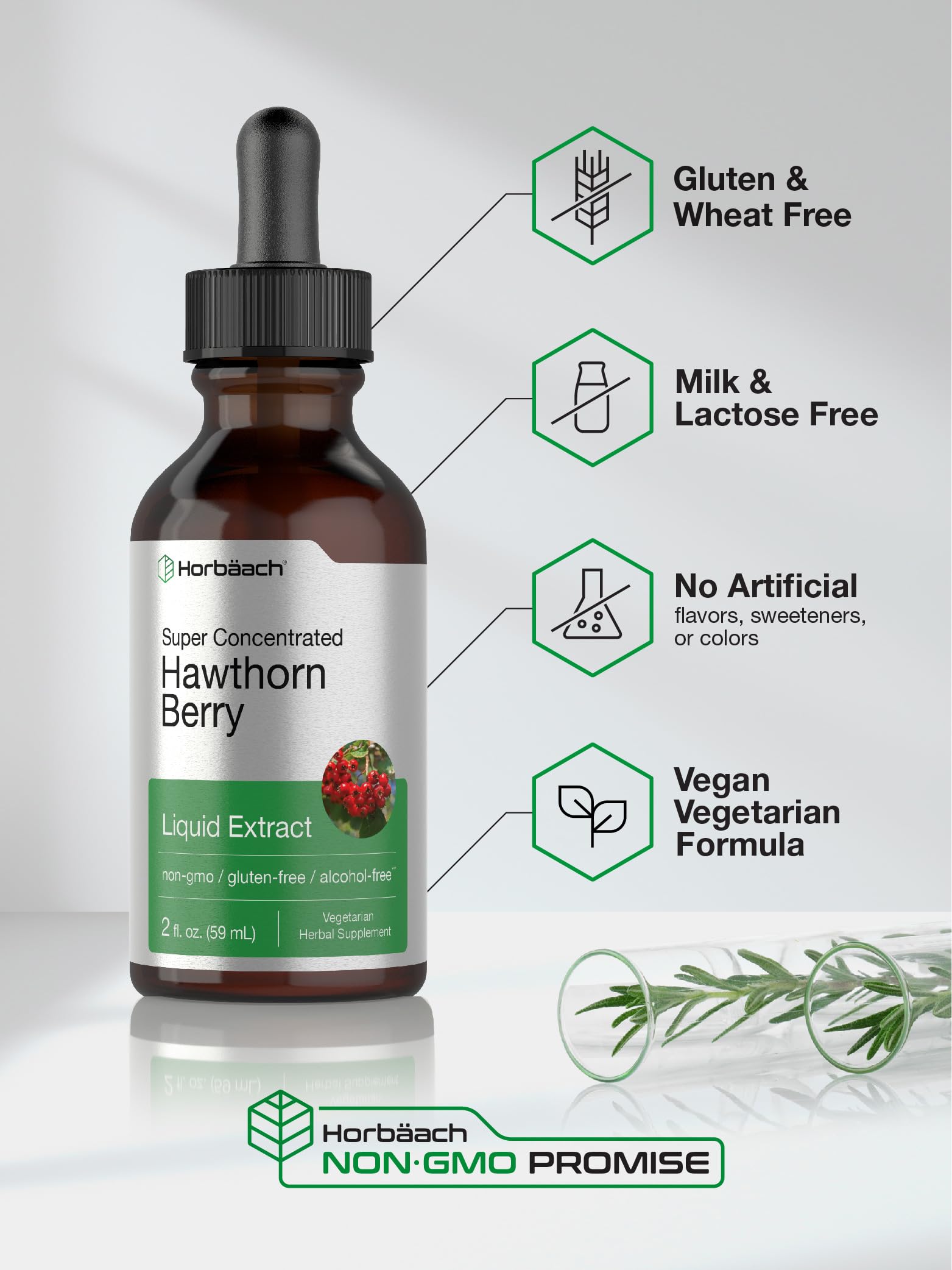 Horbäach Hawthorn Berry Extract | 2 fl oz | Alcohol Free Liquid Tincture | Vegetarian Supplement, Non-GMO, Gluten Free - Image 4
