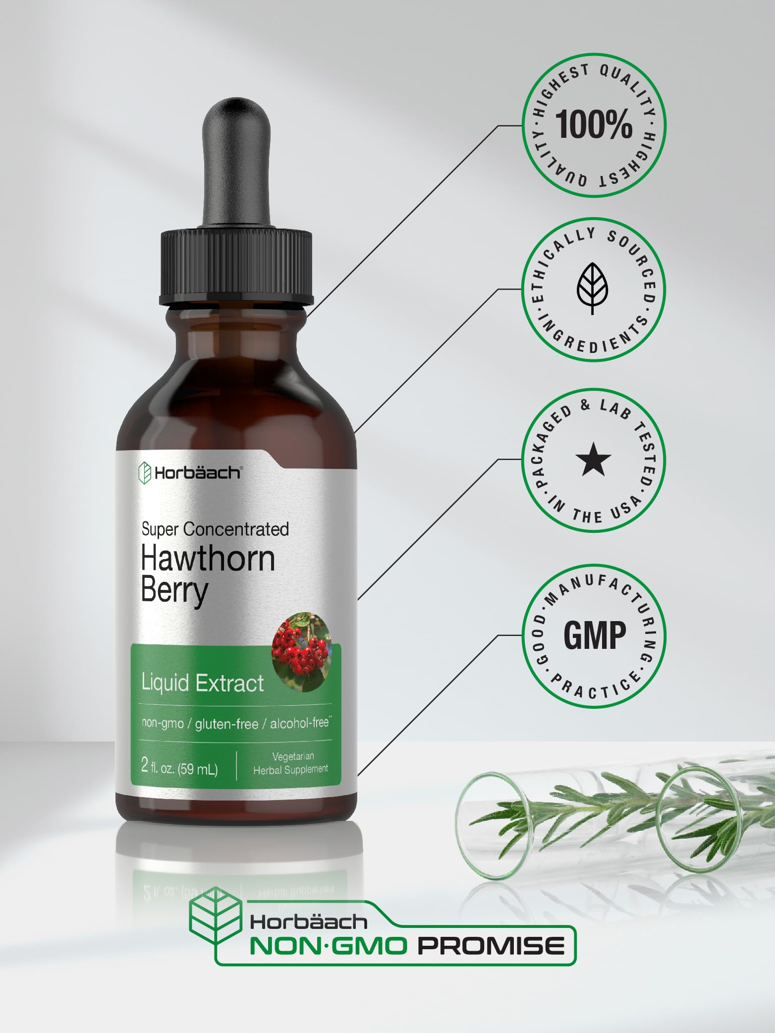 Horbäach Hawthorn Berry Extract | 2 fl oz | Alcohol Free Liquid Tincture | Vegetarian Supplement, Non-GMO, Gluten Free - Image 5