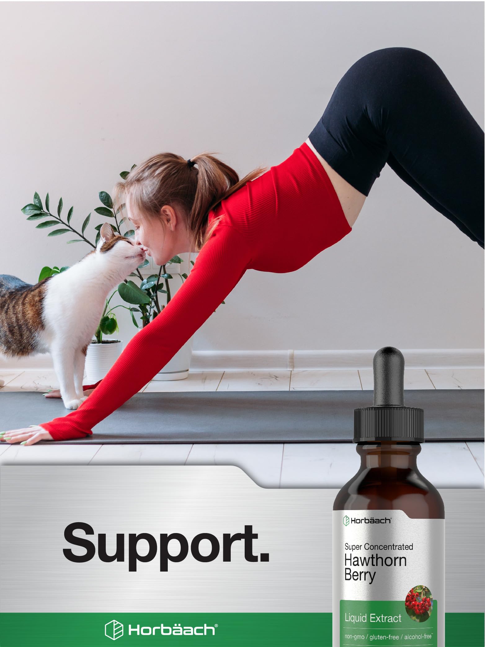 Horbäach Hawthorn Berry Extract | 2 fl oz | Alcohol Free Liquid Tincture | Vegetarian Supplement, Non-GMO, Gluten Free - Image 6