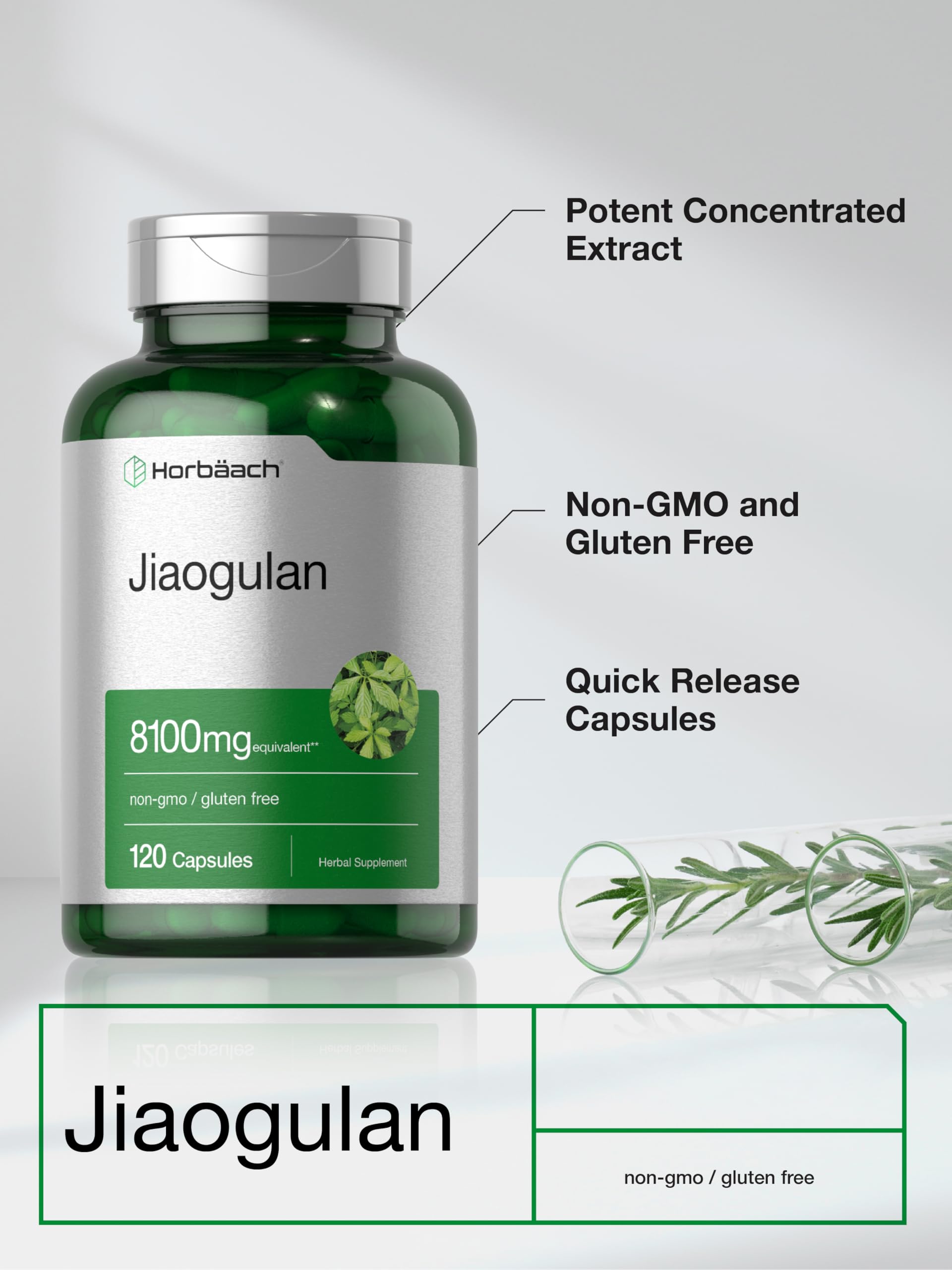 Horbäach Jiaogulan Capsules | 120 Count | Gynostemma Pentaphyllum Herbal Extract | Stamina and Endurance Supplement | Non-GMO, Gluten Free - Image 4