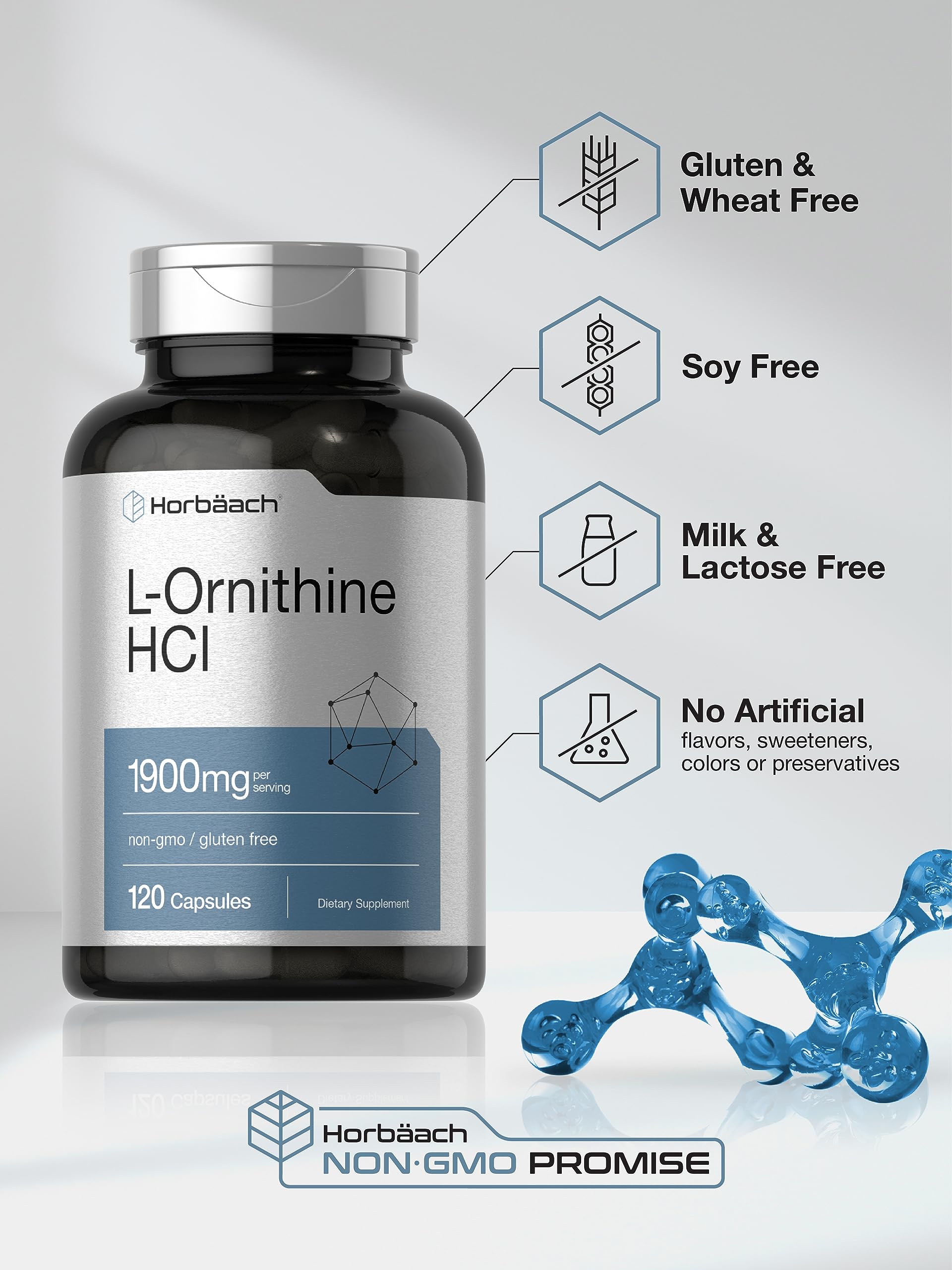 Horbäach L Ornithine HCl | 1900mg | 120 Capsules | Supplement for Men and Women | Non-GMO & Gluten Free - Image 4