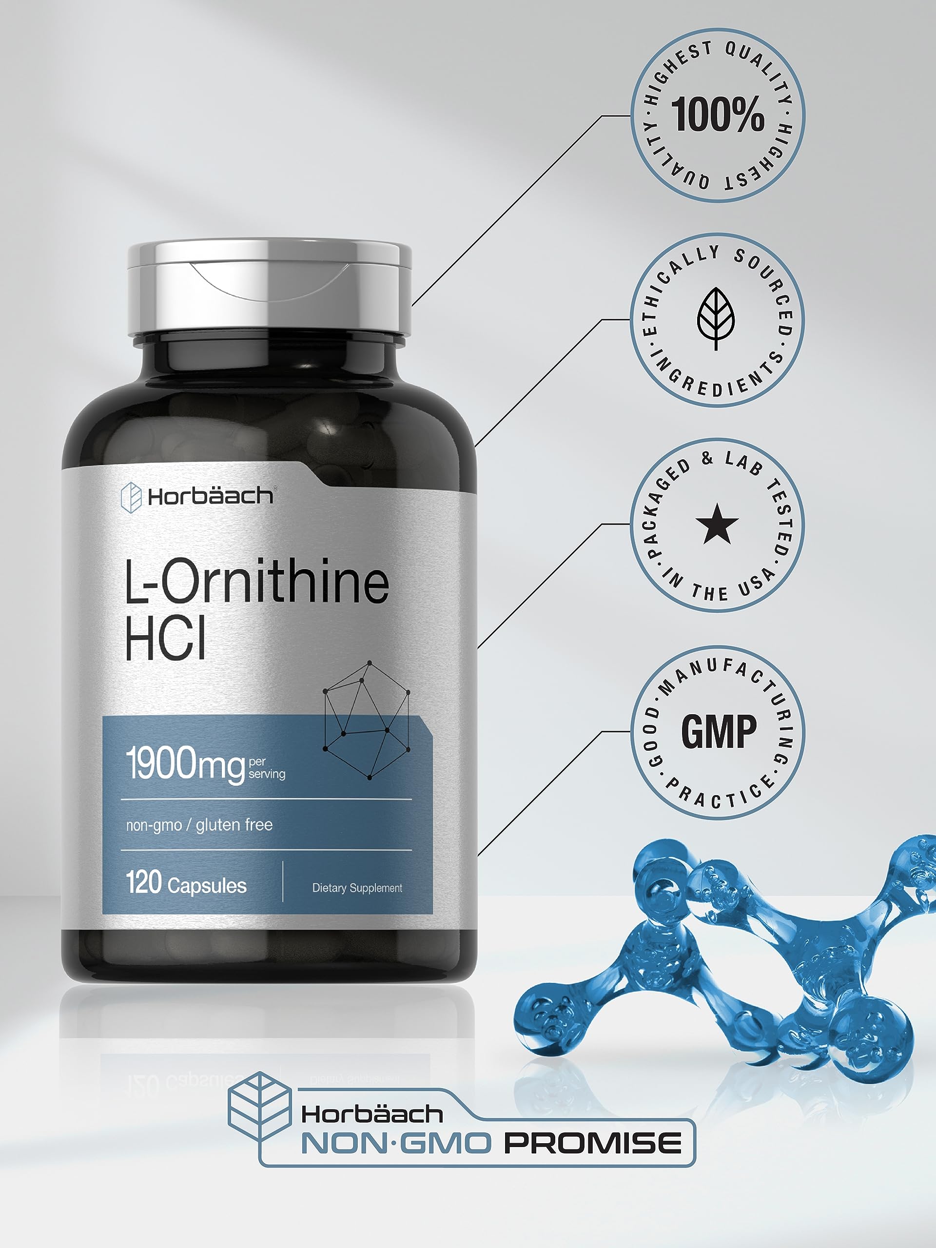 Horbäach L Ornithine HCl | 1900mg | 120 Capsules | Supplement for Men and Women | Non-GMO & Gluten Free - Image 5