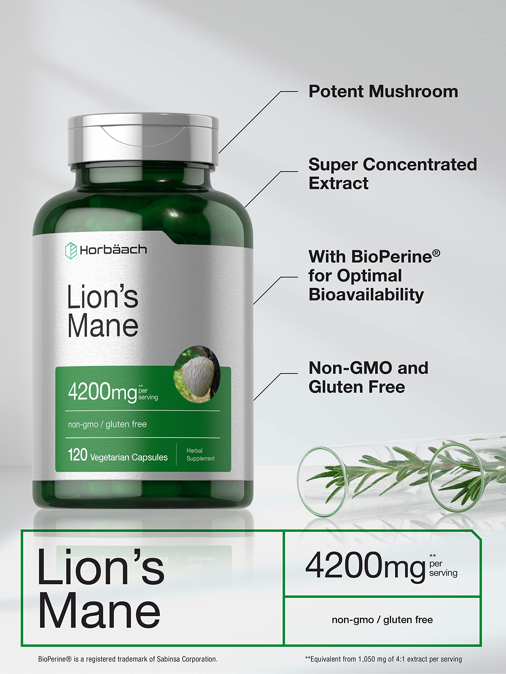 Horbäach Lions Mane Mushroom Extract | 120 Capsules | Vegetarian, Non-GMO, Gluten Free Supplement - Image 4