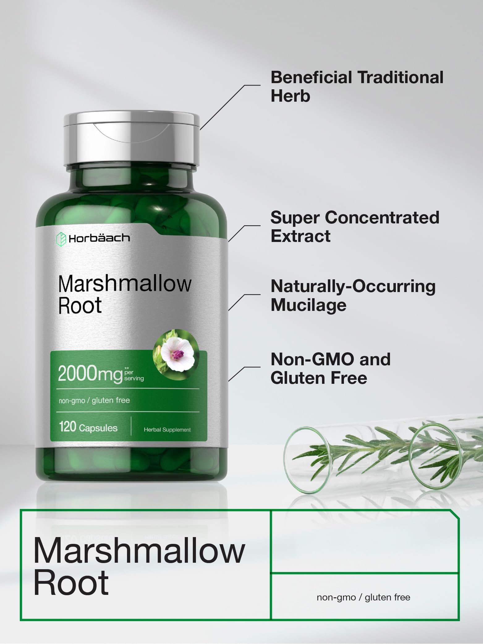 Horbäach Marshmallow Root Capsules | 120 Count | Non-GMO & Gluten Free | Traditional Herb Extract - Image 3