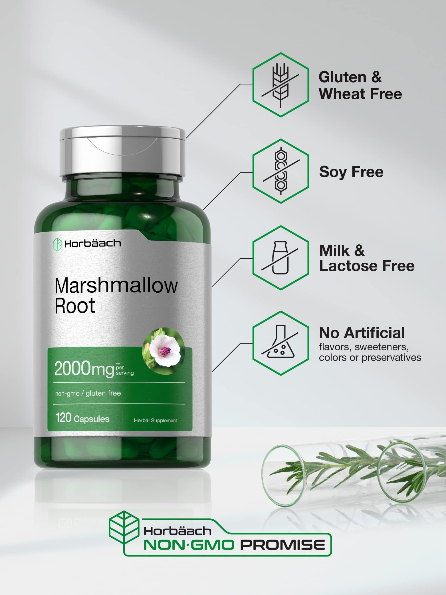 Horbäach Marshmallow Root Capsules | 120 Count | Non-GMO & Gluten Free | Traditional Herb Extract - Image 4