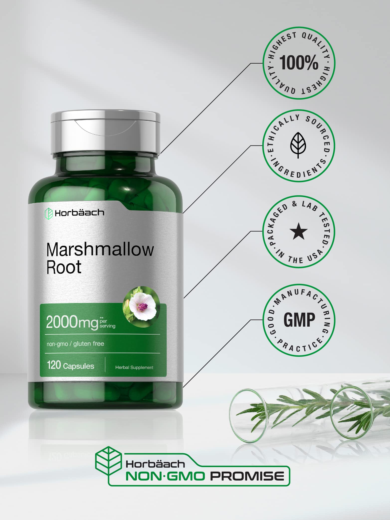 Horbäach Marshmallow Root Capsules | 120 Count | Non-GMO & Gluten Free | Traditional Herb Extract - Image 5