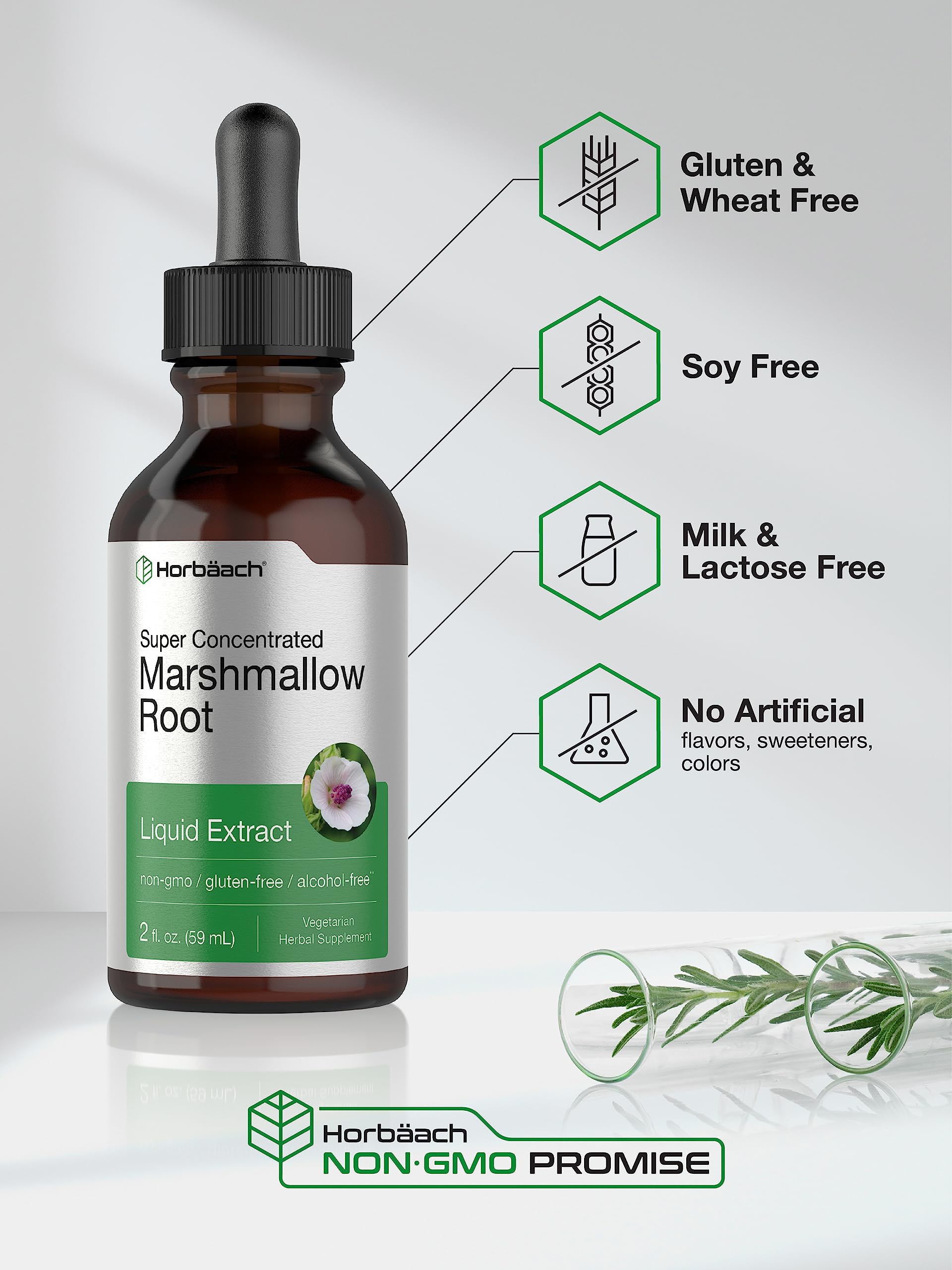 Horbäach Marshmallow Root Extract Tincture | 2 fl oz | Althaea Officinalis Liquid | Alcohol Free | Vegetarian, Non-GMO & Gluten Free - Image 4