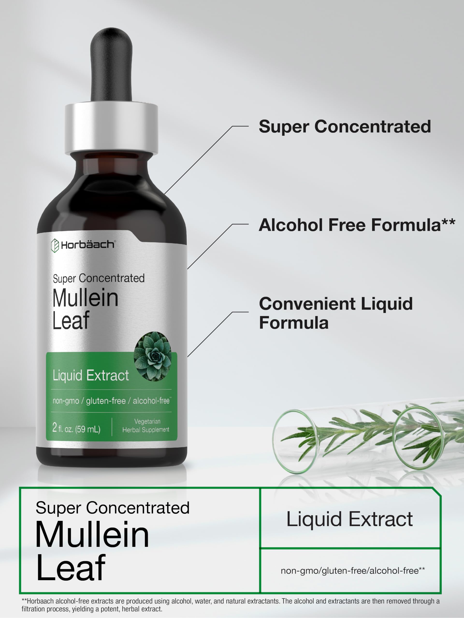 Horbäach Mullein Leaf Extract Drops | 2 fl oz | Alcohol Free Liquid Tincture | Vegetarian, Non-GMO & Gluten Free Herbal Supplement - Image 4
