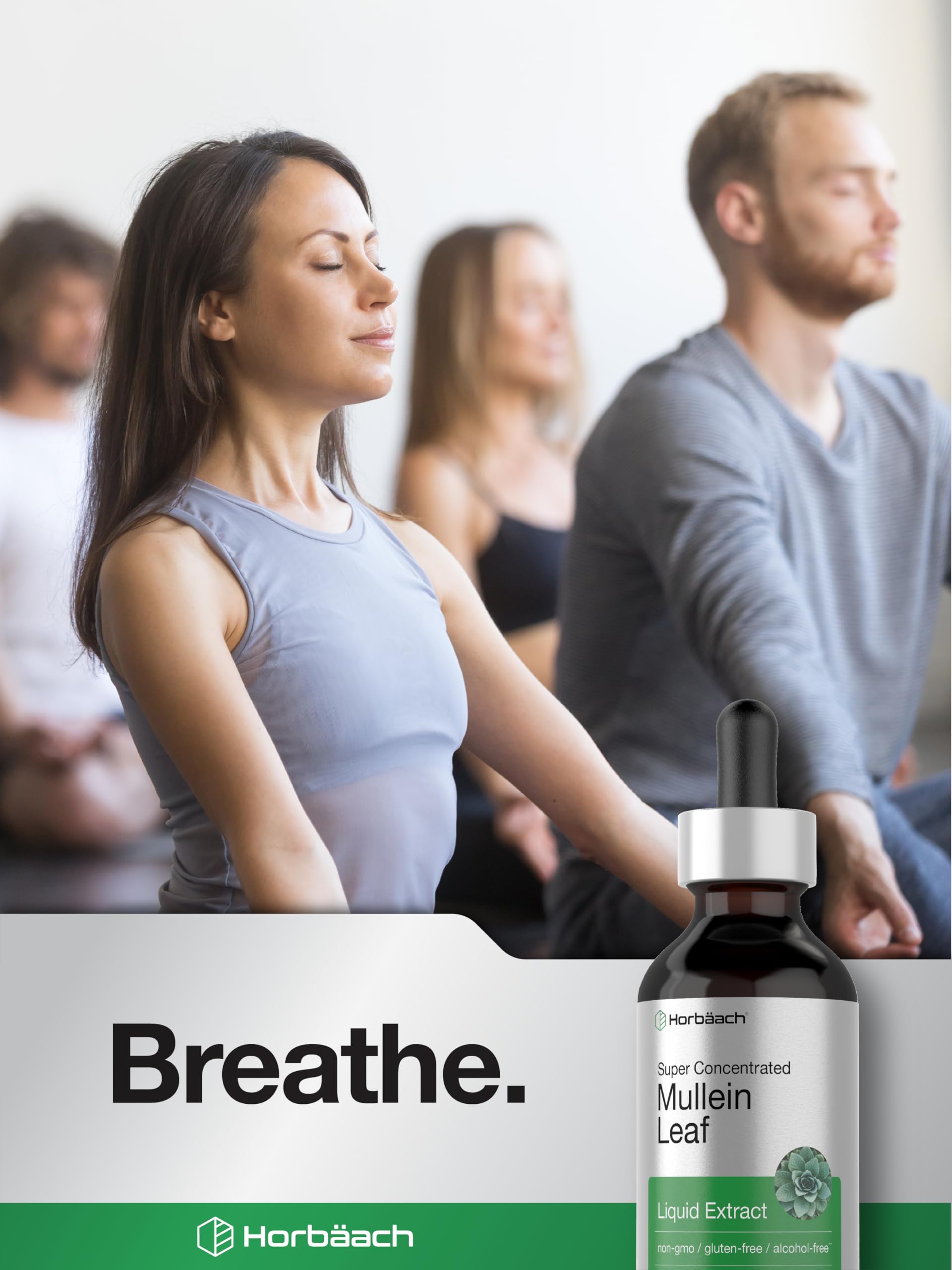 Horbäach Mullein Leaf Extract Drops | 2 fl oz | Alcohol Free Liquid Tincture | Vegetarian, Non-GMO & Gluten Free Herbal Supplement - Image 6