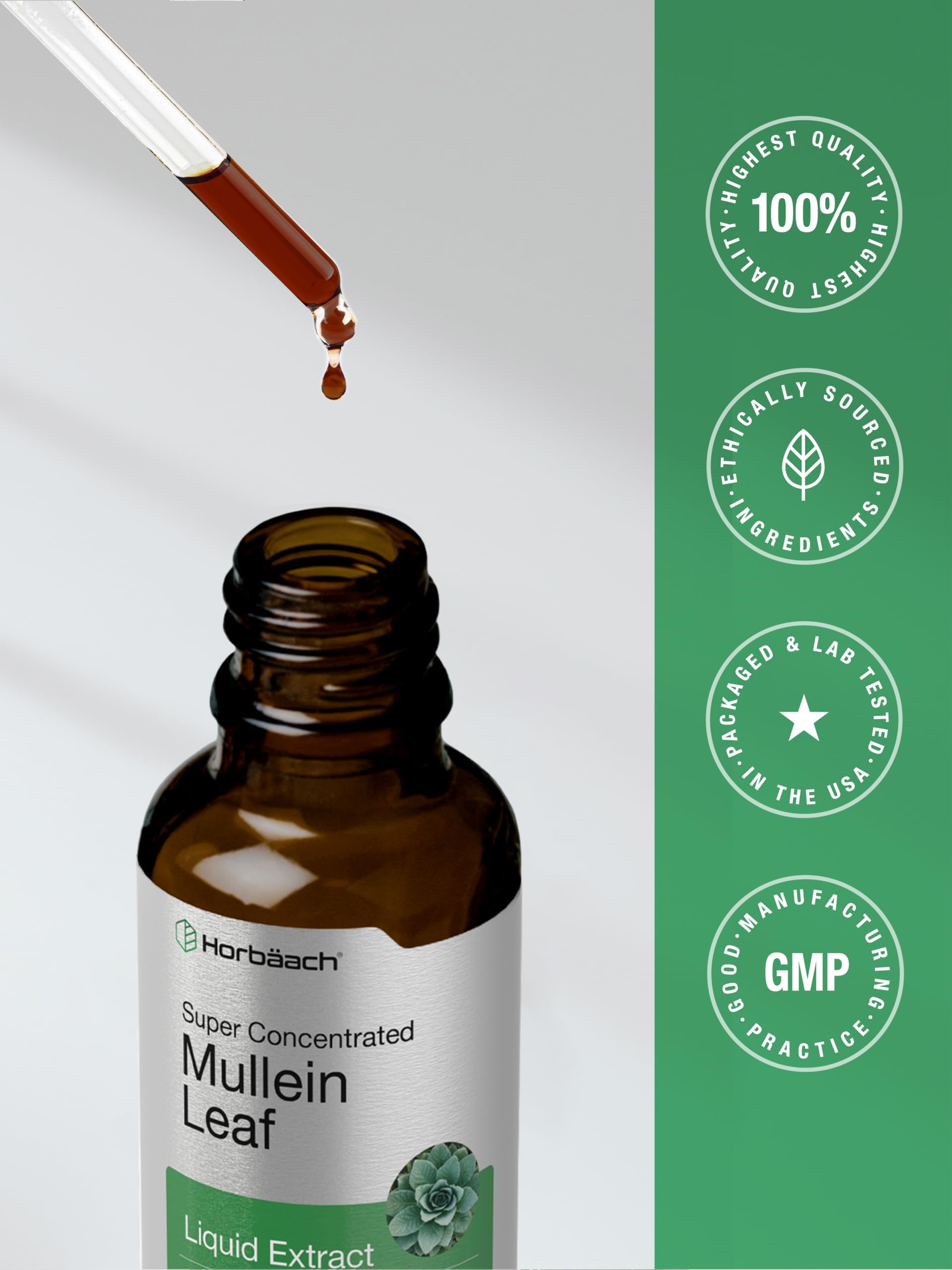Horbäach Mullein Leaf Extract Drops | 2 fl oz | Alcohol Free Liquid Tincture | Vegetarian, Non-GMO & Gluten Free Herbal Supplement - Image 7