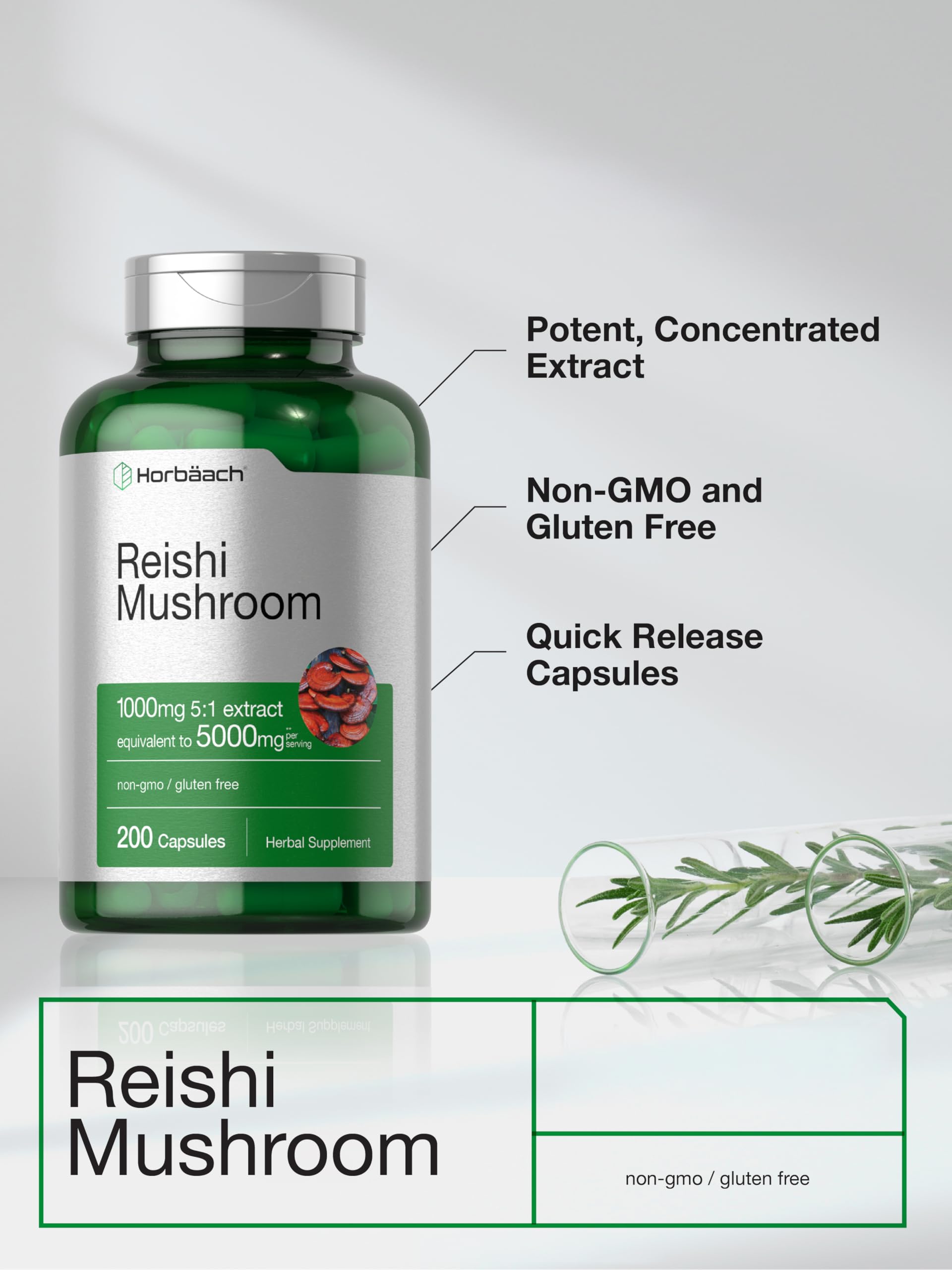 Horbäach Reishi Mushroom Capsules | 200 Count | Non-GMO and Gluten Free Extract Supplement - Image 4