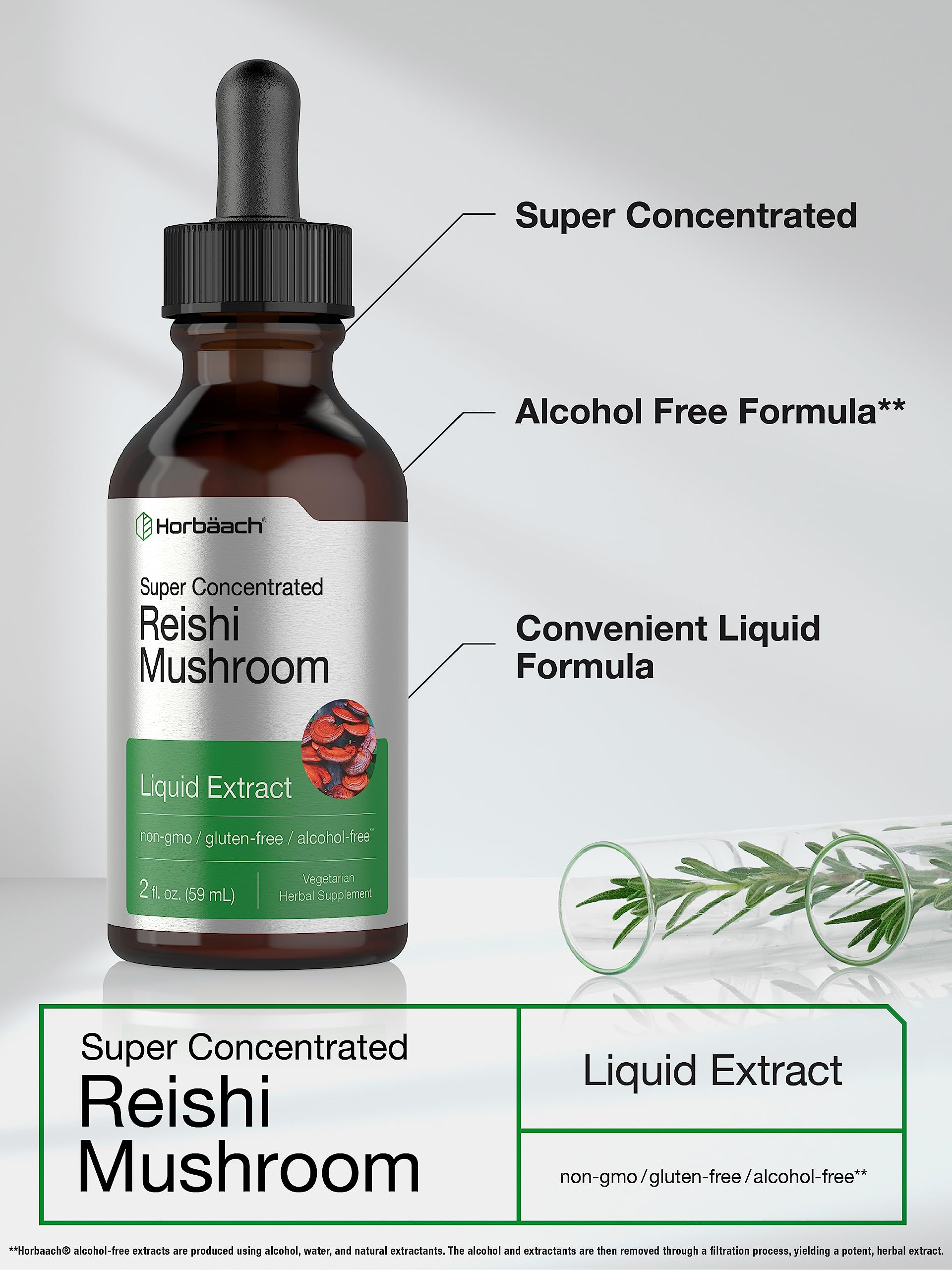 Horbäach Reishi Mushroom Extract Tincture | 2 Fl Oz | Liquid Drops | Ganoderma Lucidum | Vegetarian, Alcohol Free | Non-GMO, Gluten Free Supplement - Image 3