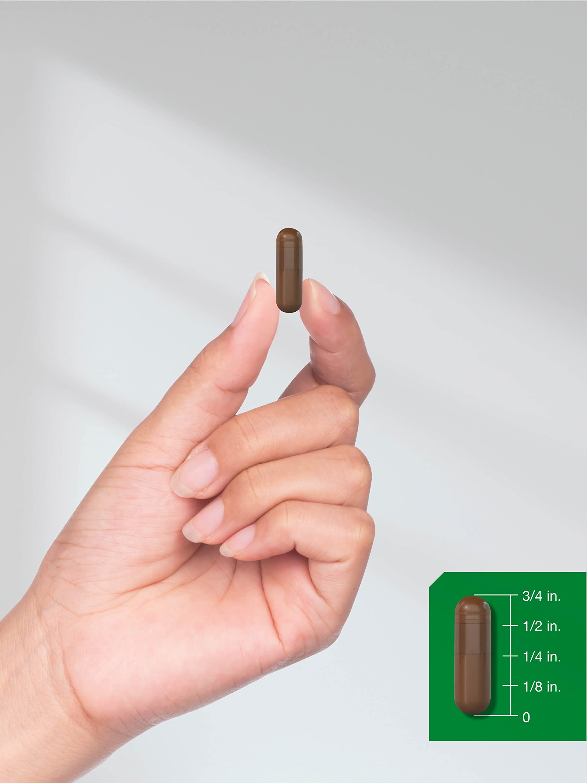 Horbäach White Willow Bark Capsules | 200 Pills | Max Strength | Non-GMO, Gluten Free Herb Extract - Image 7