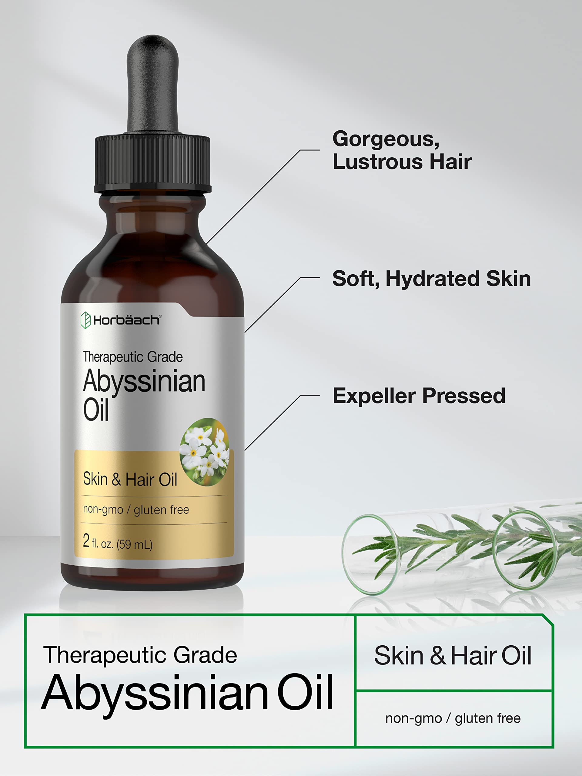 Horbaach Abyssinian Oil | Hair and Skin Oil | Paraben, SLS and Fragrance Free | from Crambe Abyssinica Seed - Image 3
