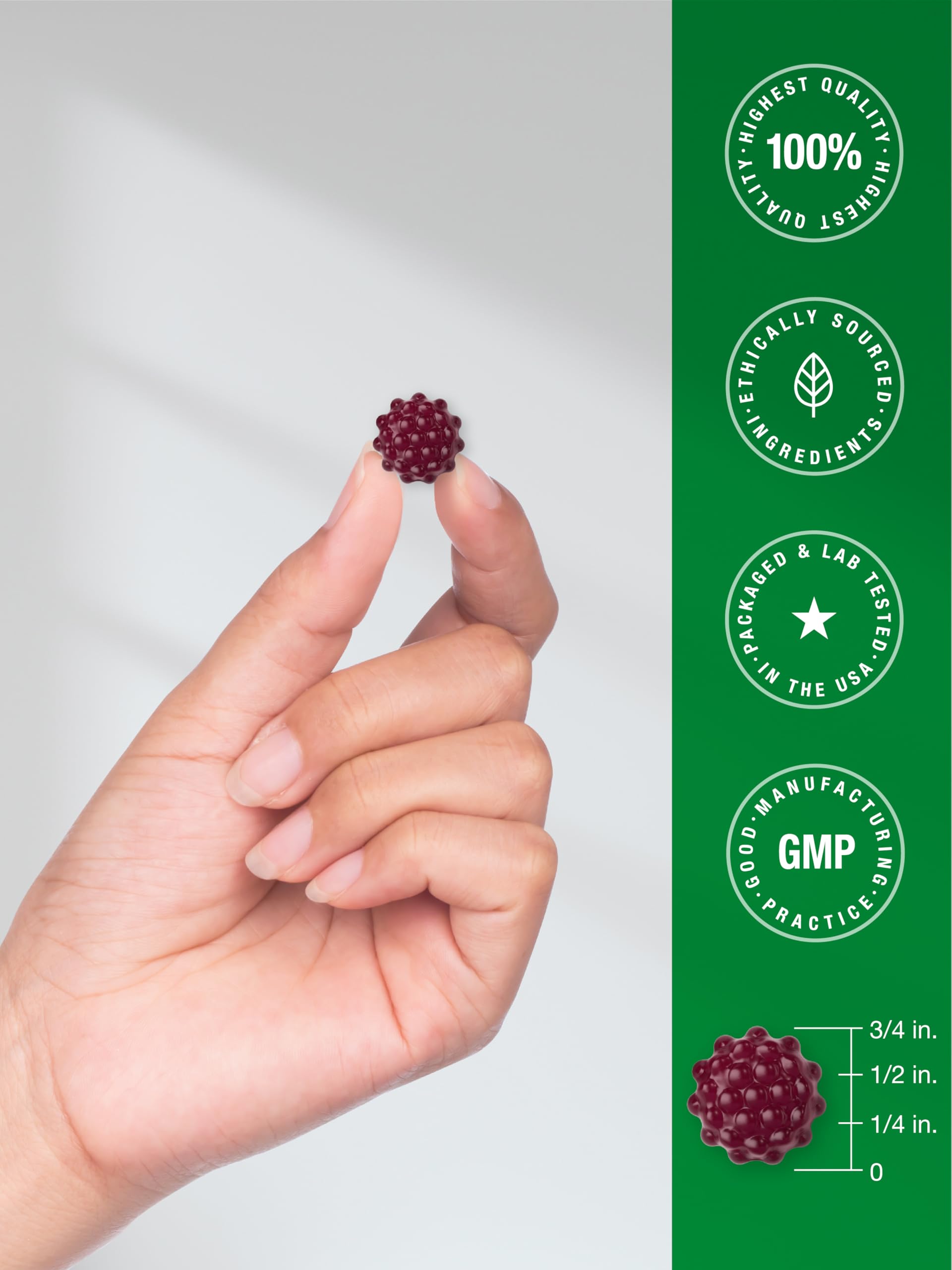 Horbaach Black Elderberry Gummies | 120 Count | Sambucus Extract | with Zinc and Vitamin C | Berry Flavor | Vegan, Non-GMO, and Gluten Free Supplement for Adults - Image 7